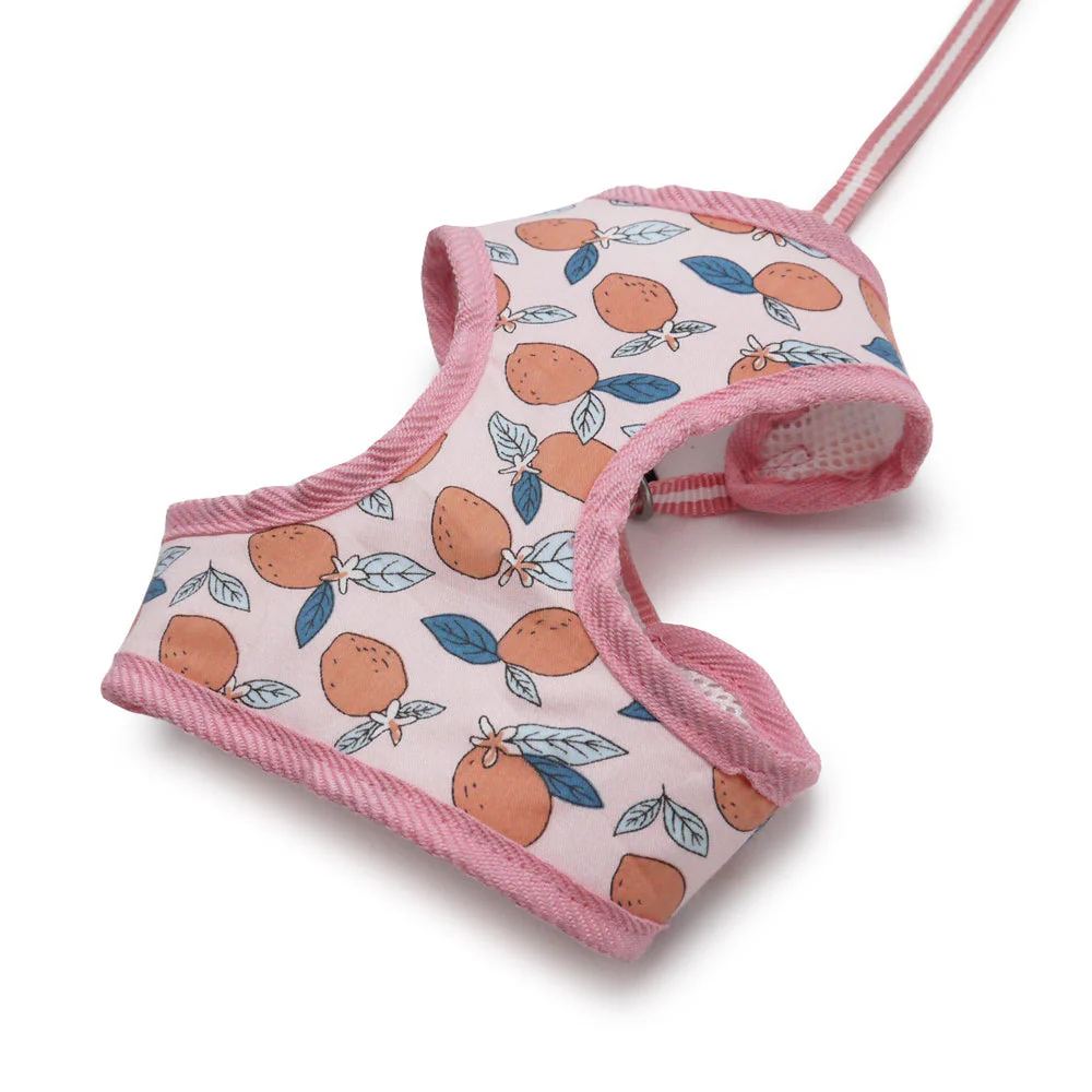 EasyGO Lemon - Image 8