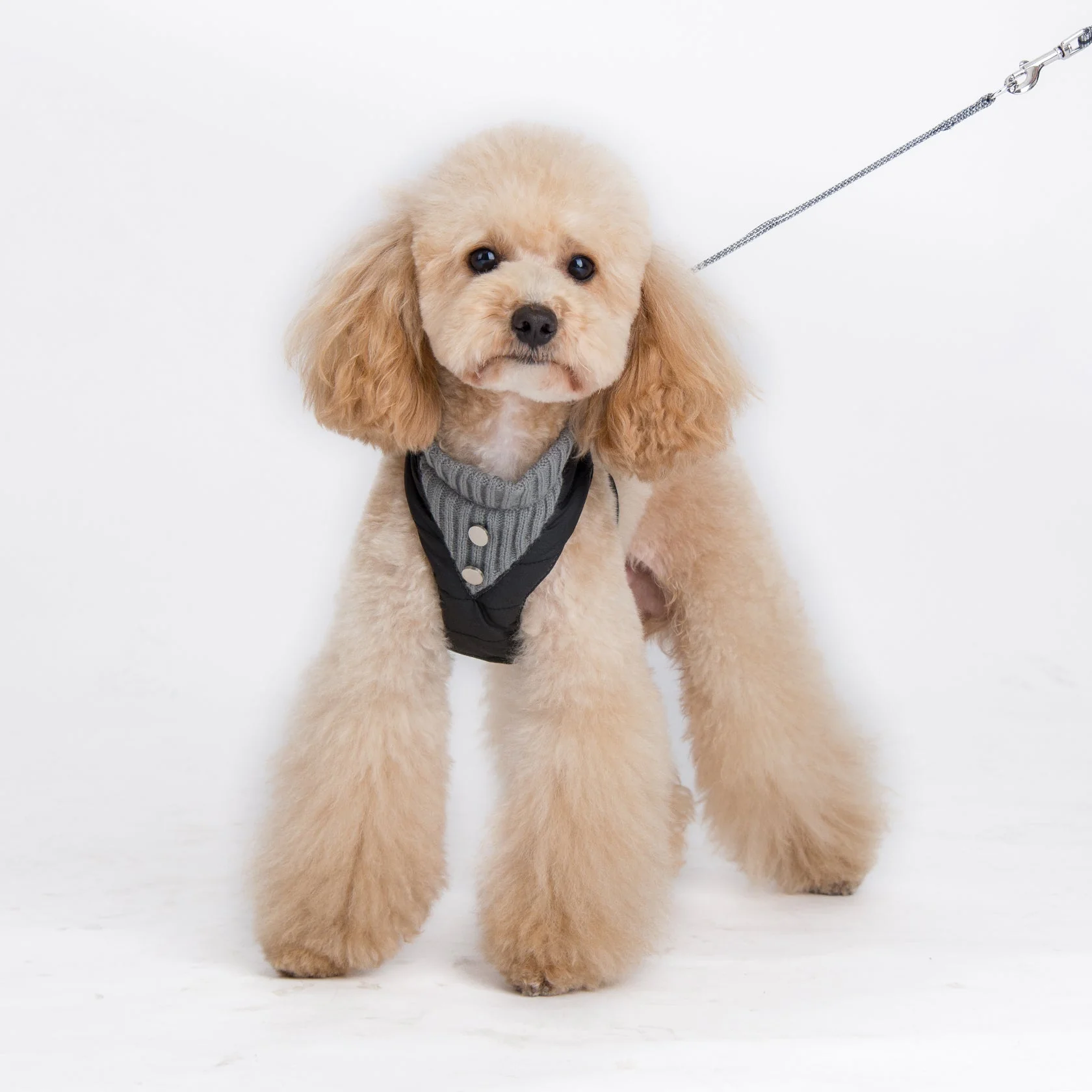 EasyGO Puffer - Image 11