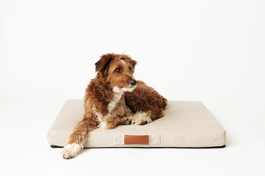 Ecru | Modern Dog Bed or Bed Cover - Image 2