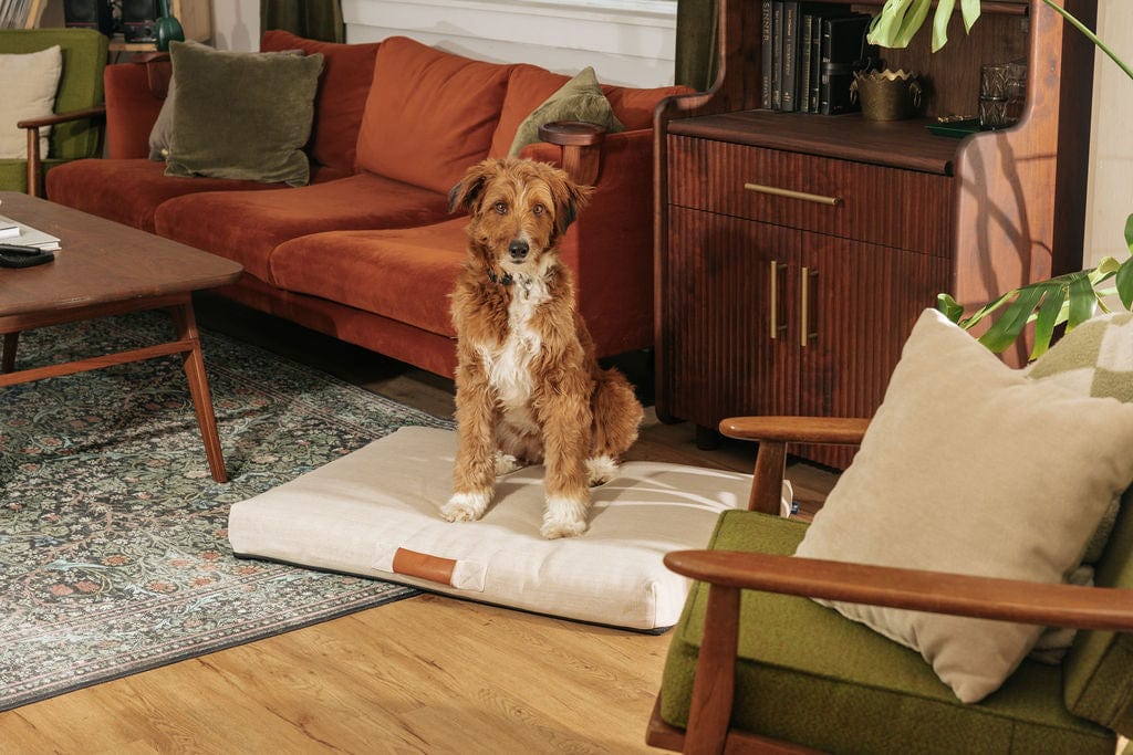 Ecru | Modern Dog Bed or Bed Cover - Image 6