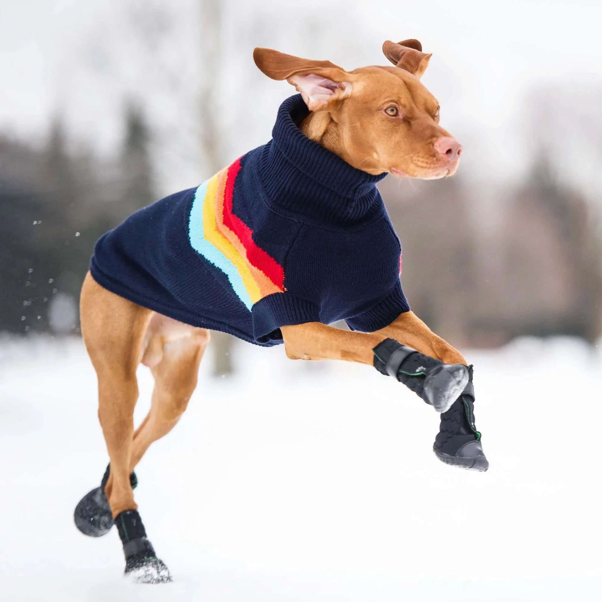 Elasto-Fit Dog Boots - Black - Image 5