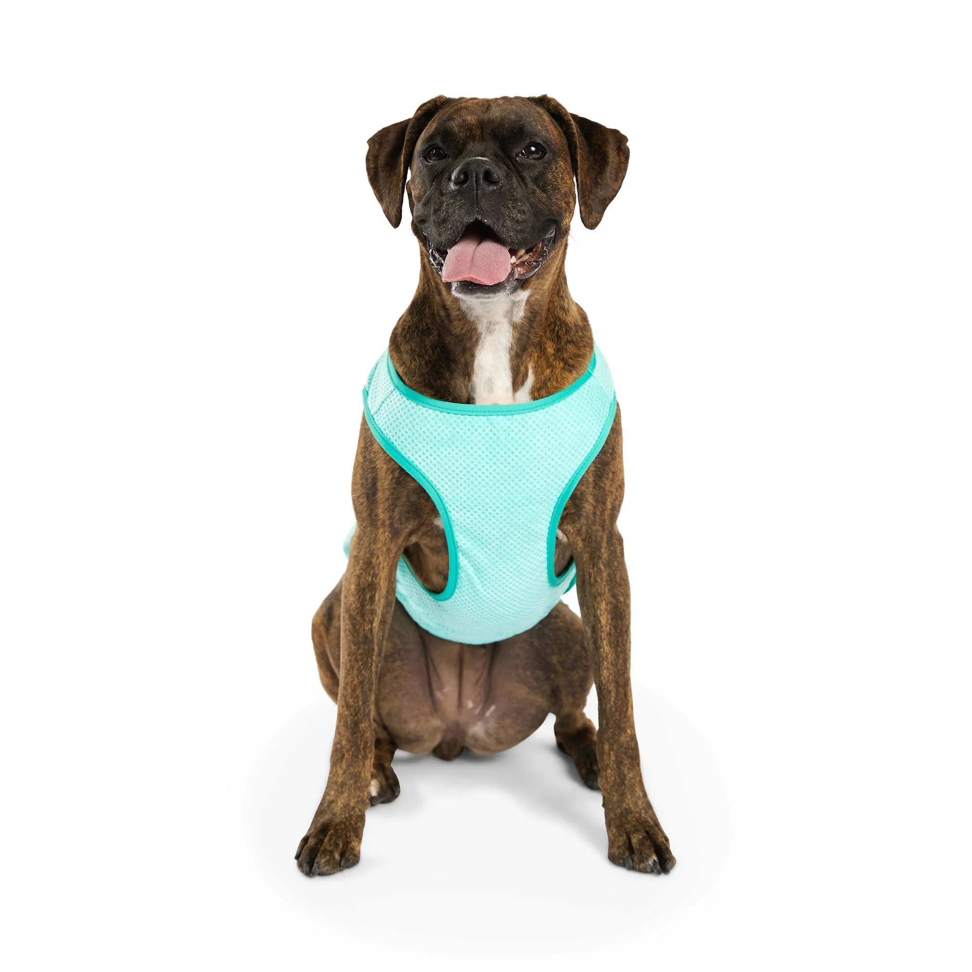 Elasto-Fit Ice Vest - Aqua - Image 10