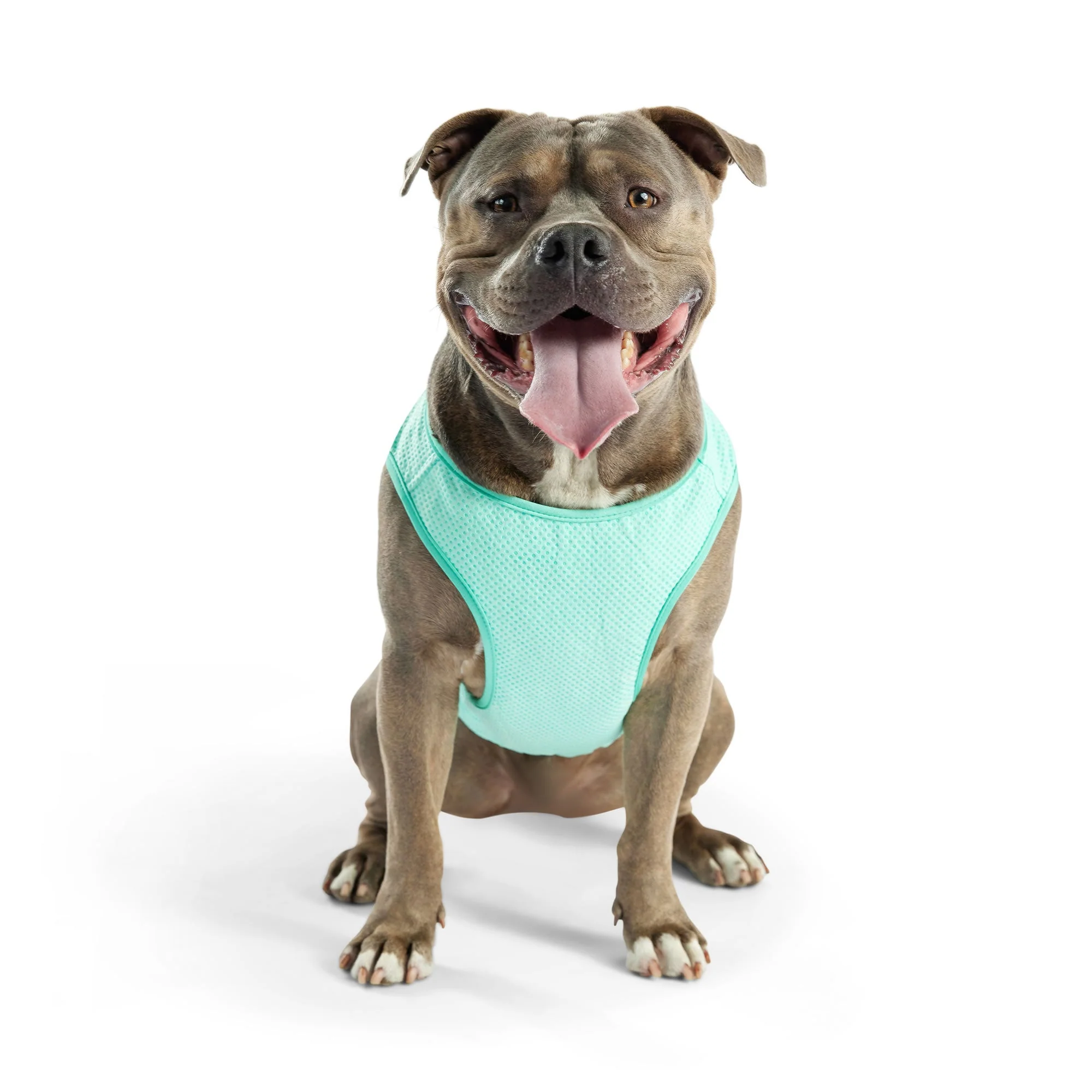 Elasto-Fit Ice Vest - Aqua - Image 11