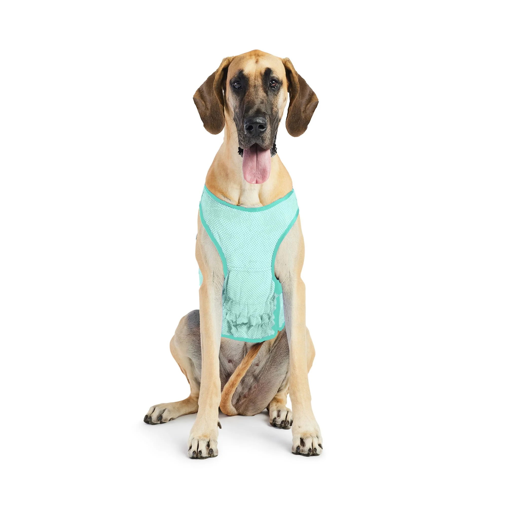 Elasto-Fit Ice Vest - Aqua - Image 12