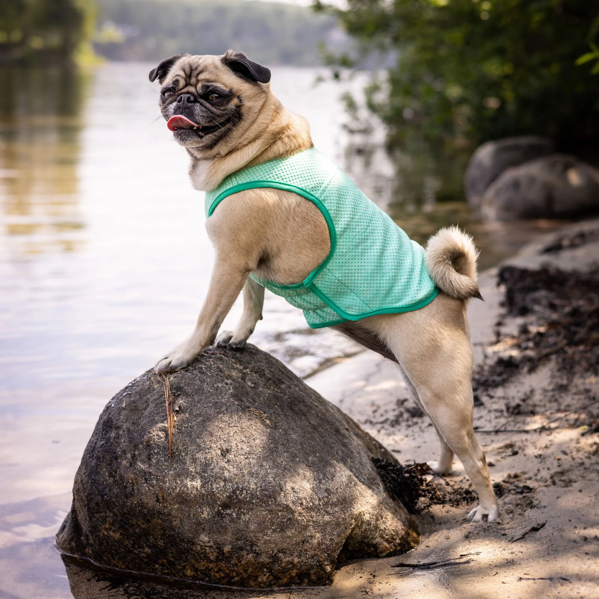 Elasto-Fit Ice Vest - Aqua - Image 13