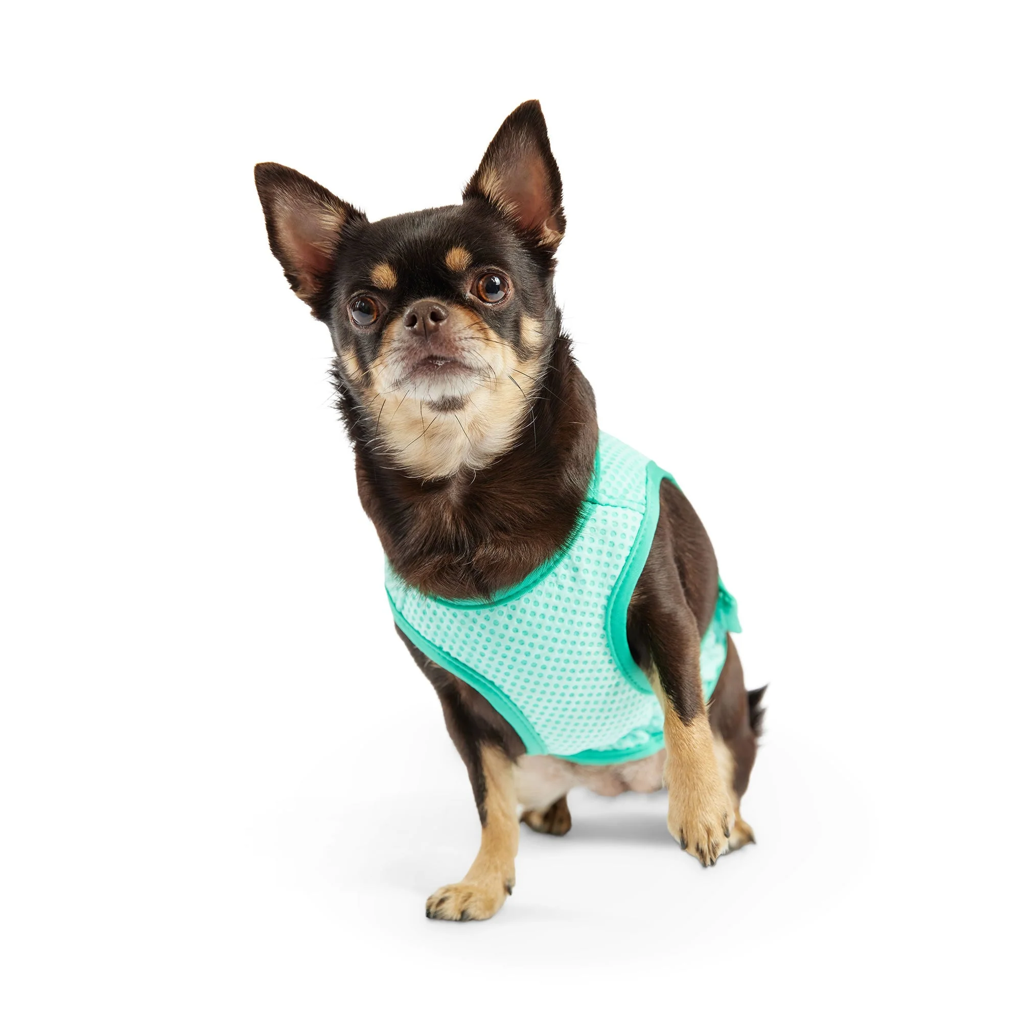 Elasto-Fit Ice Vest - Aqua - Image 4