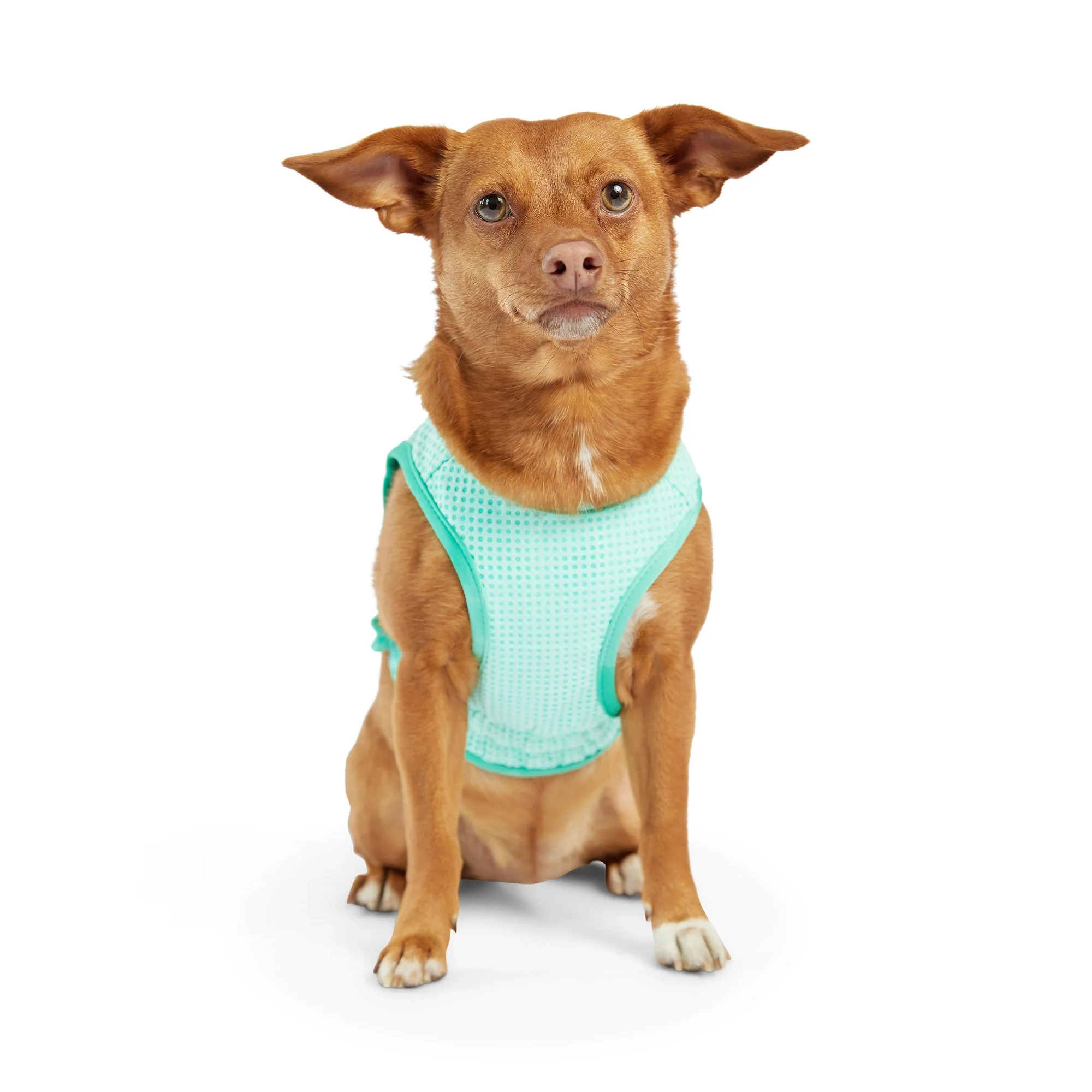 Elasto-Fit Ice Vest - Aqua - Image 5