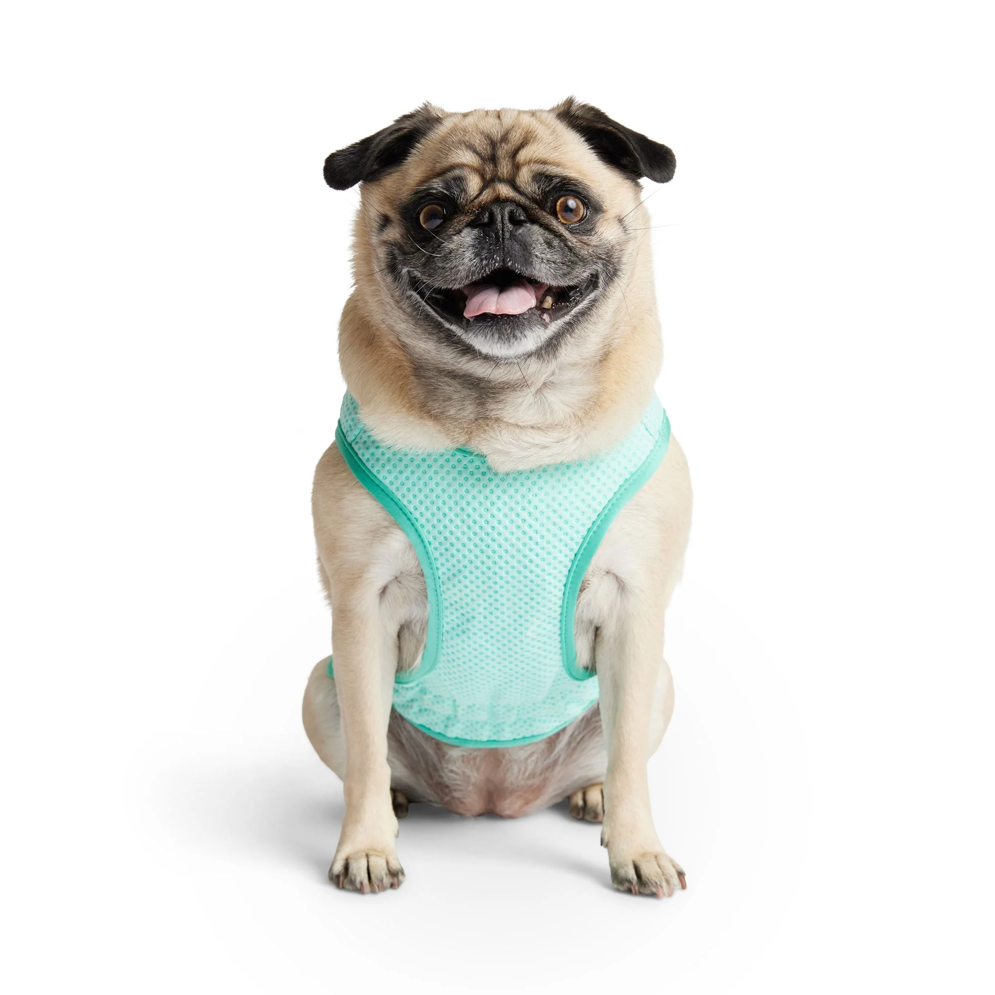Elasto-Fit Ice Vest - Aqua - Image 6