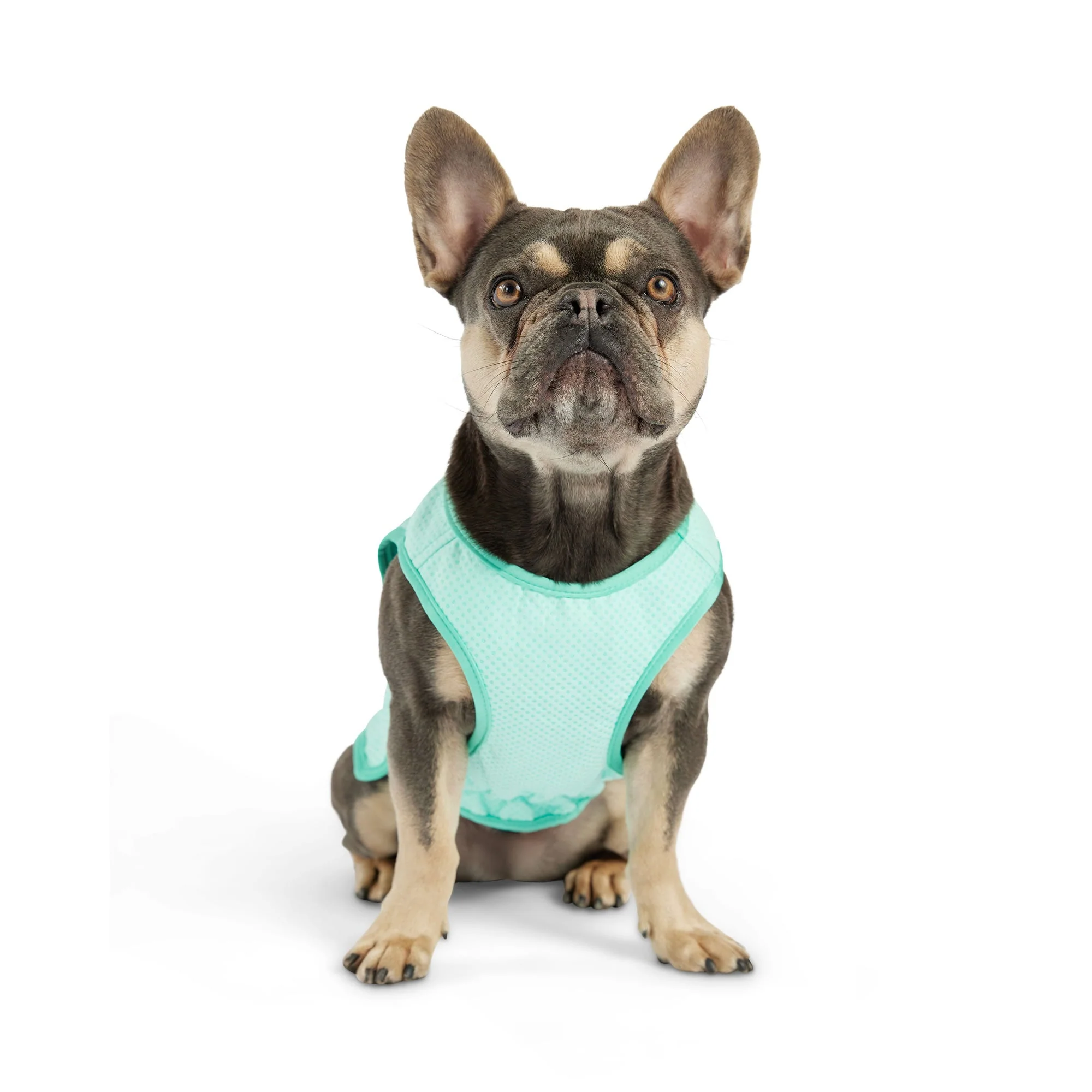 Elasto-Fit Ice Vest - Aqua - Image 7