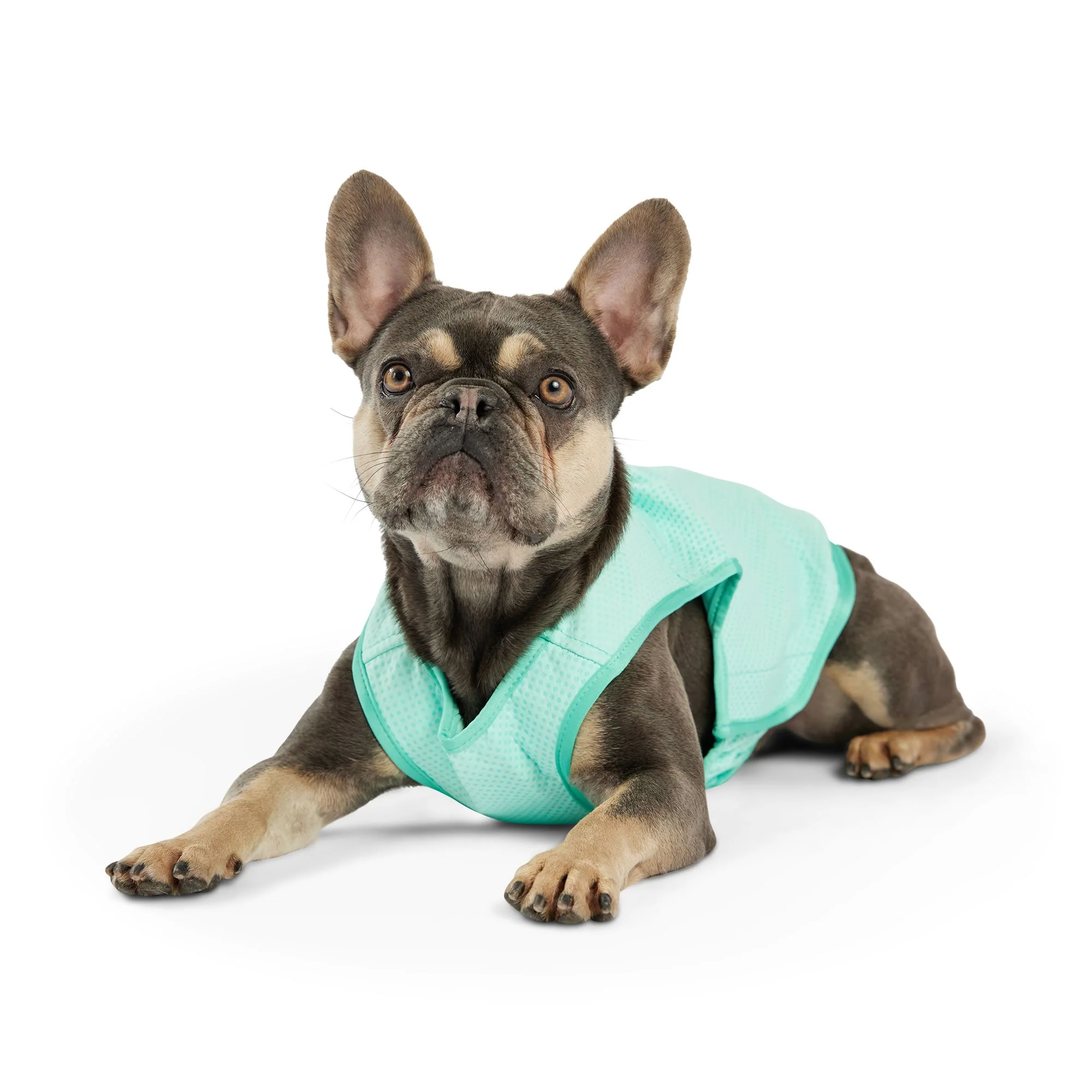 Elasto-Fit Ice Vest - Aqua - Image 8