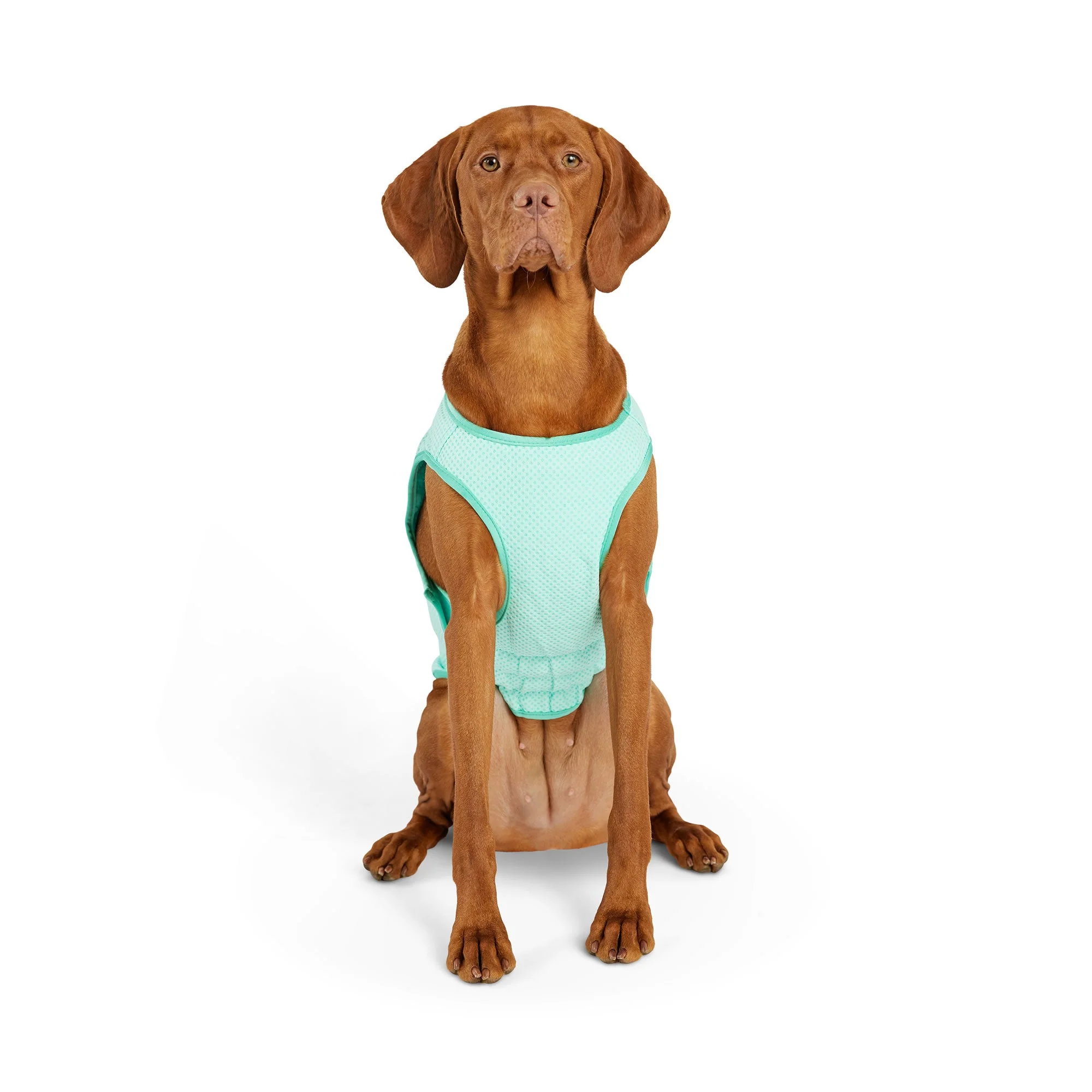 Elasto-Fit Ice Vest - Aqua - Image 9
