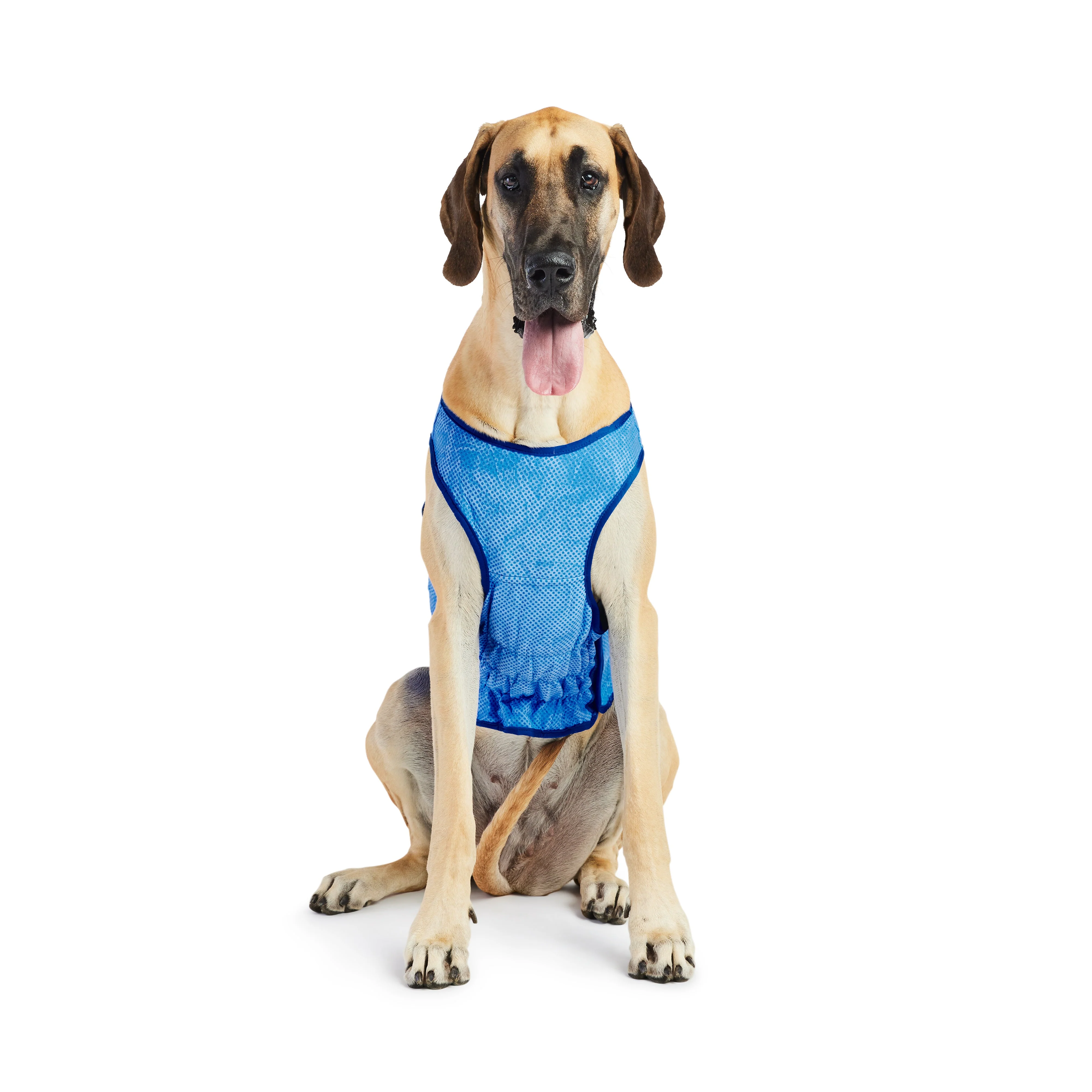 Elasto-Fit Ice Vest - Blue - Image 4
