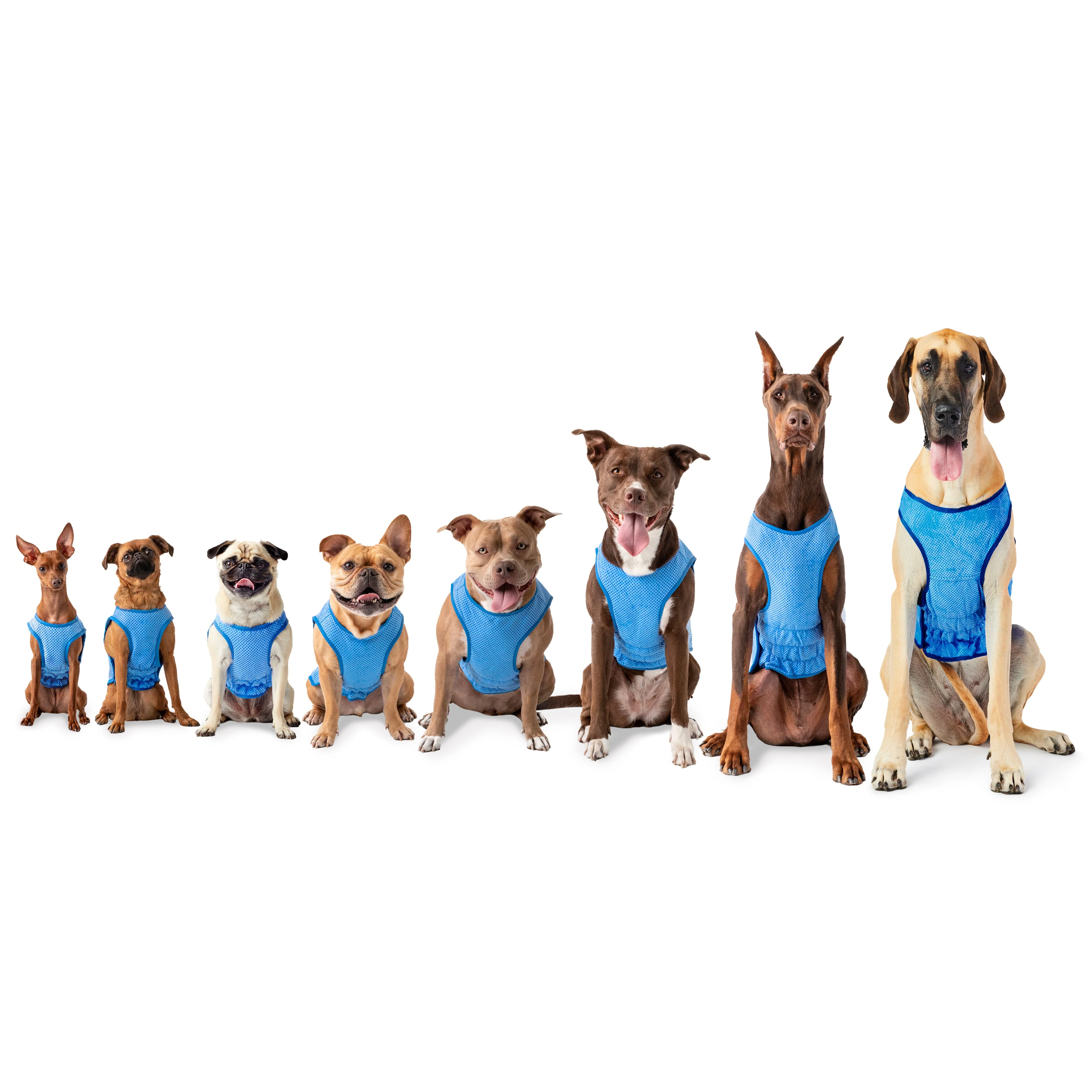 Elasto-Fit Ice Vest - Blue - Image 5