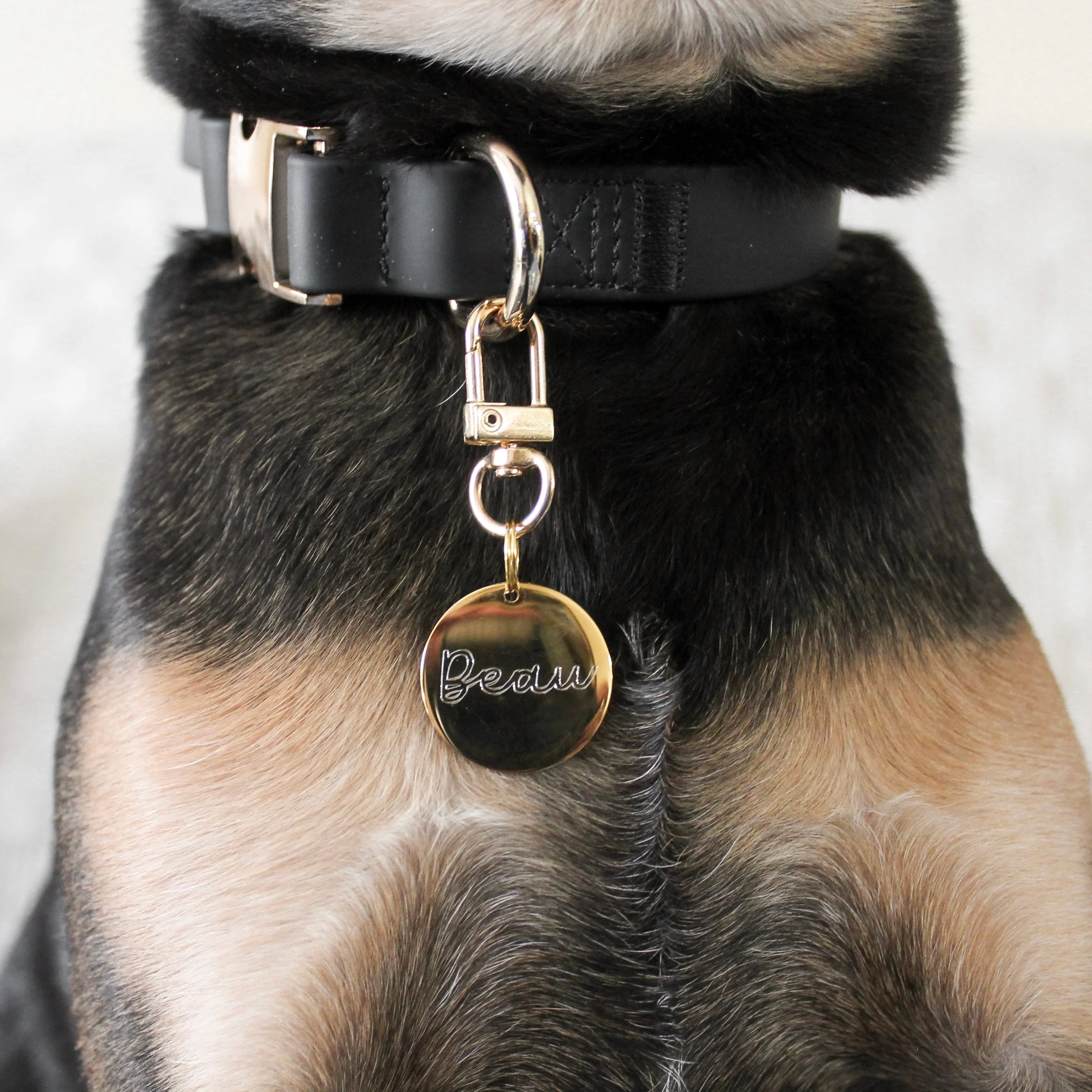 Elise Collar - Noir - Image 3