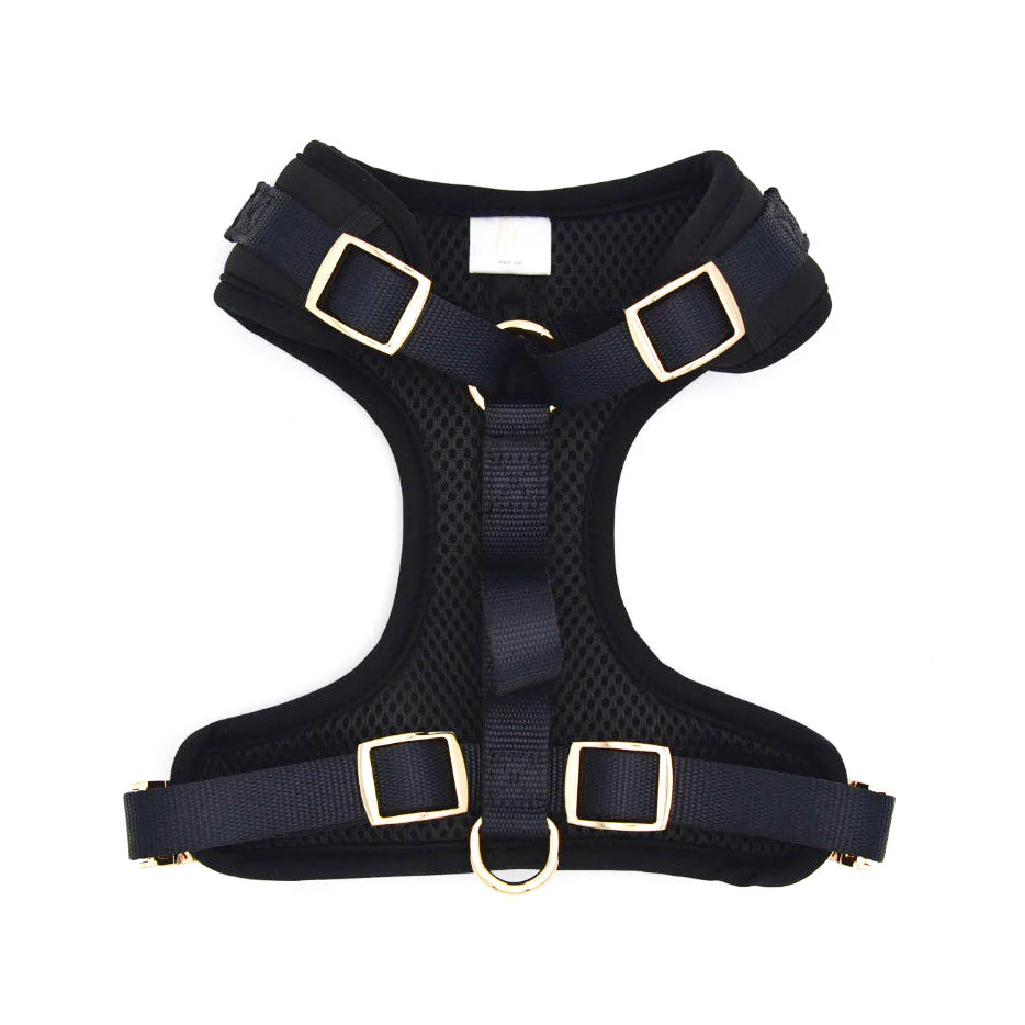 Elise Harness - Noir - Image 2