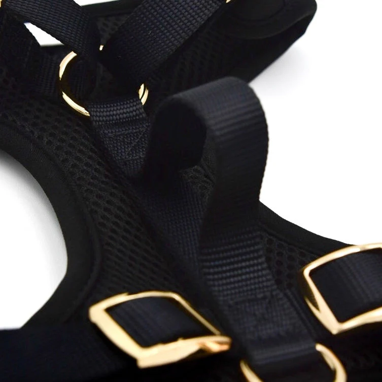 Elise Harness - Noir - Image 3