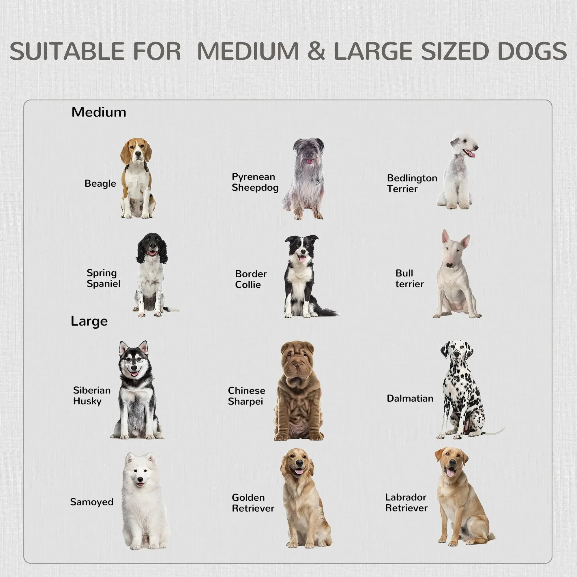 Elmer Large Dog Kennel Crate Furniture - Image 7