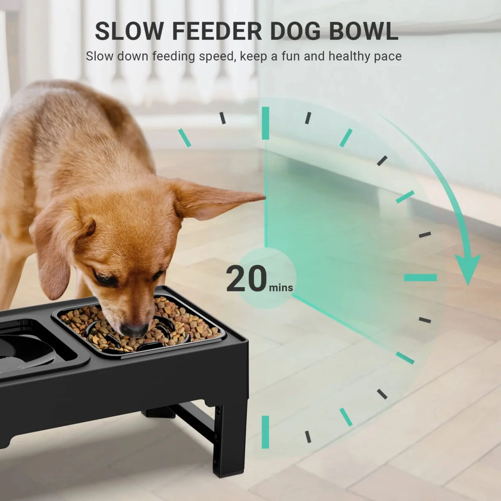 ELS PET Elevated Dog Bowl - Image 12
