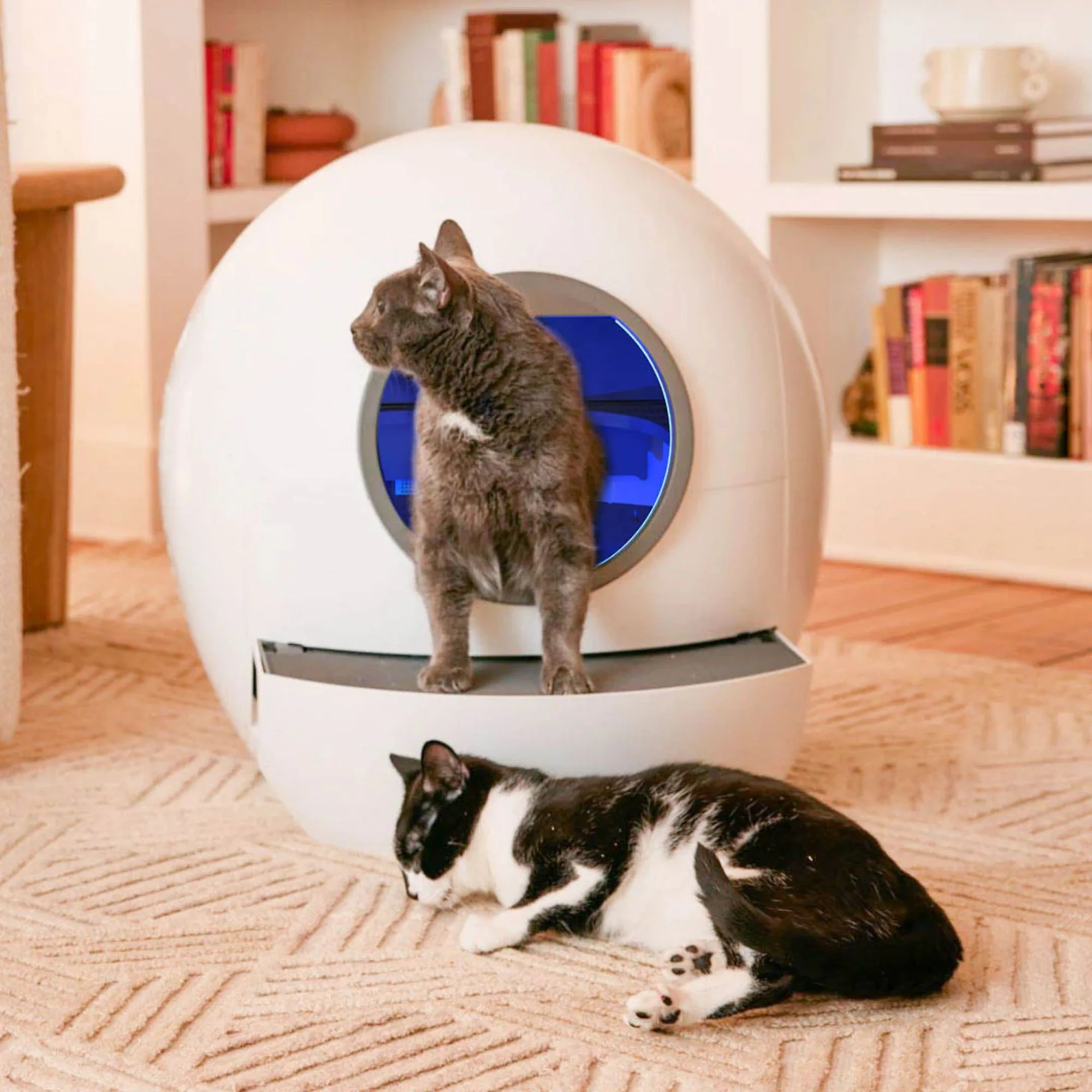 Els Pet Spaceship Odor-free Self Cleaning Litter Box - Image 3