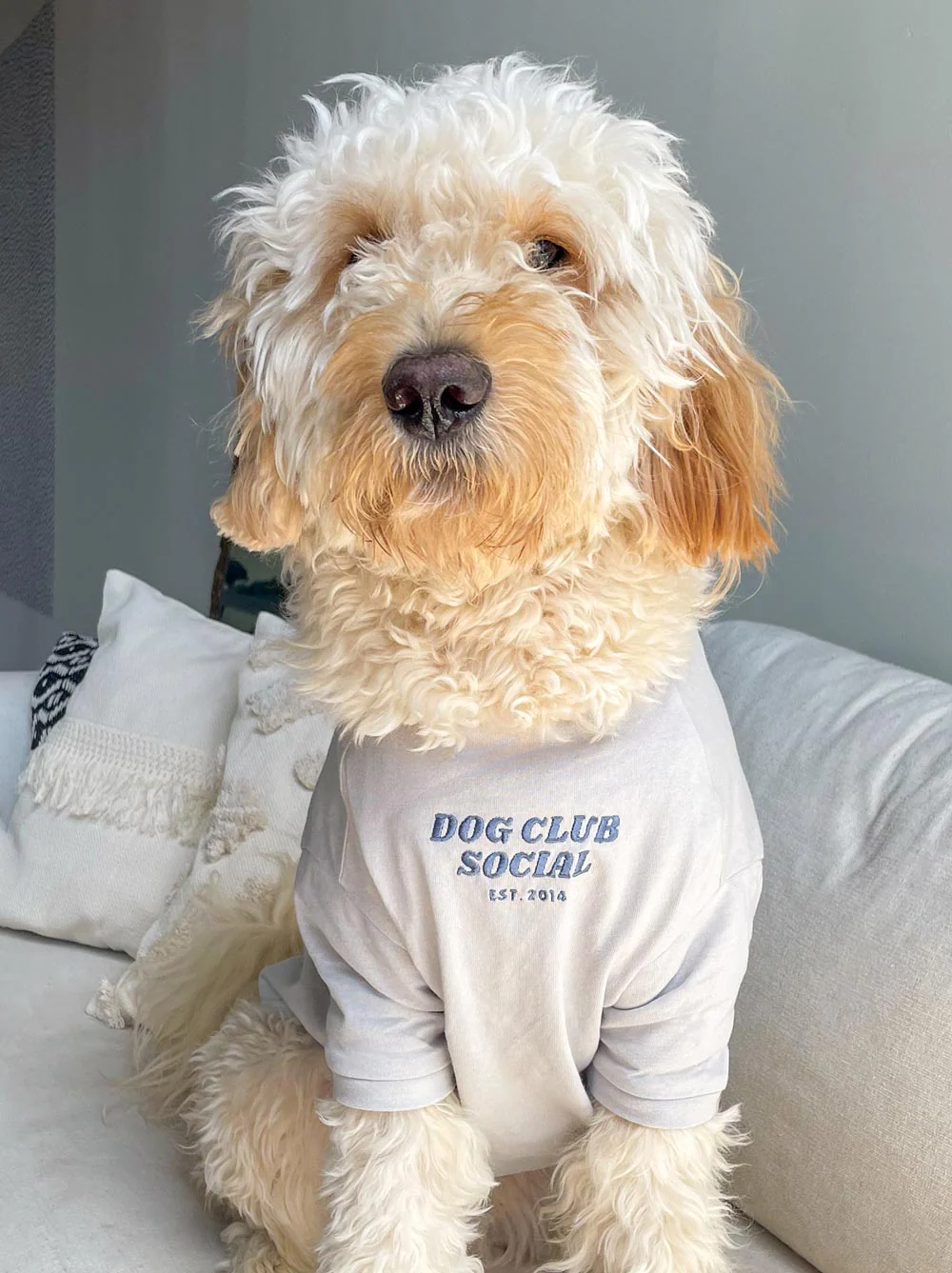 Embroidered Tee (Dog) - Image 3