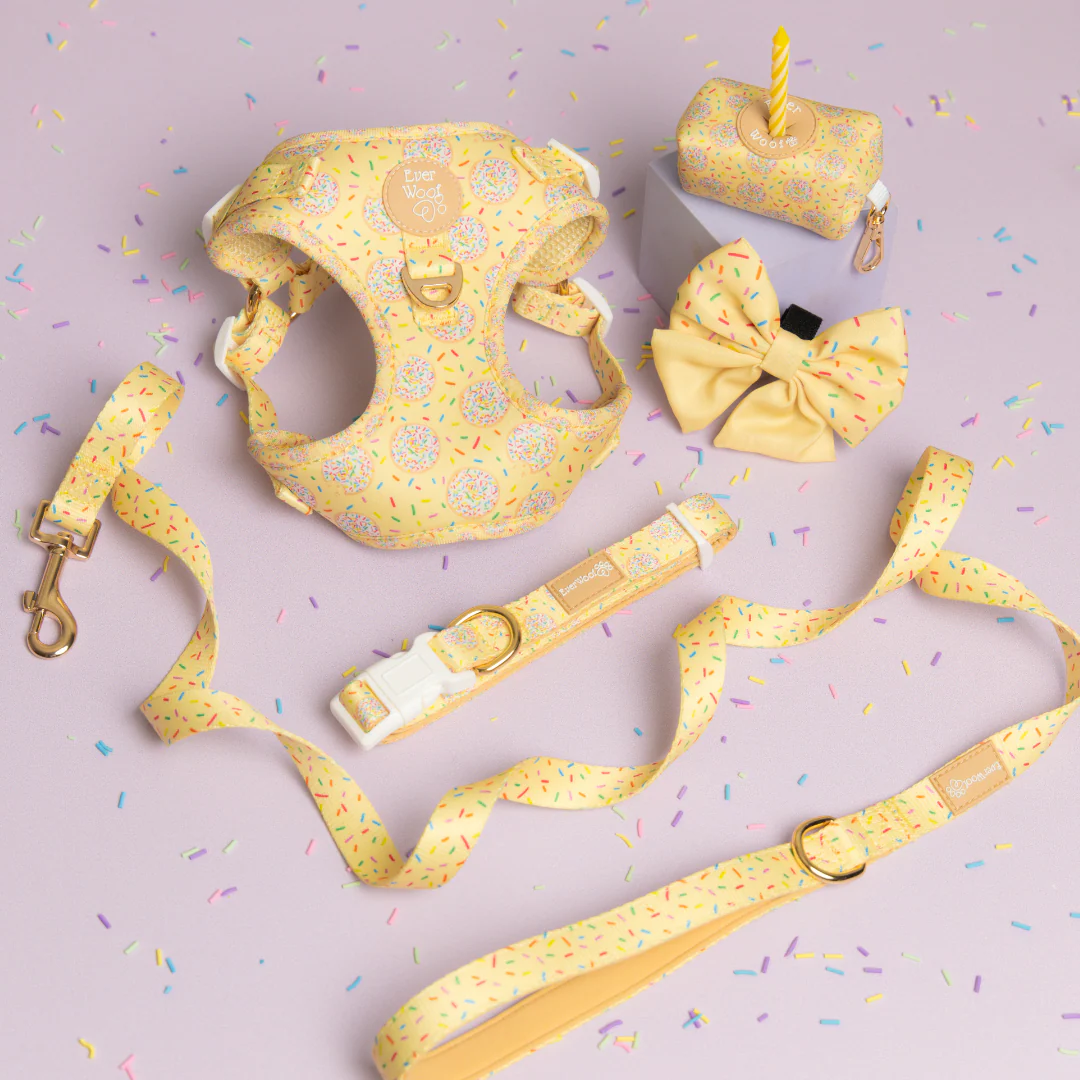 Ever So Sweet Leash - Image 3