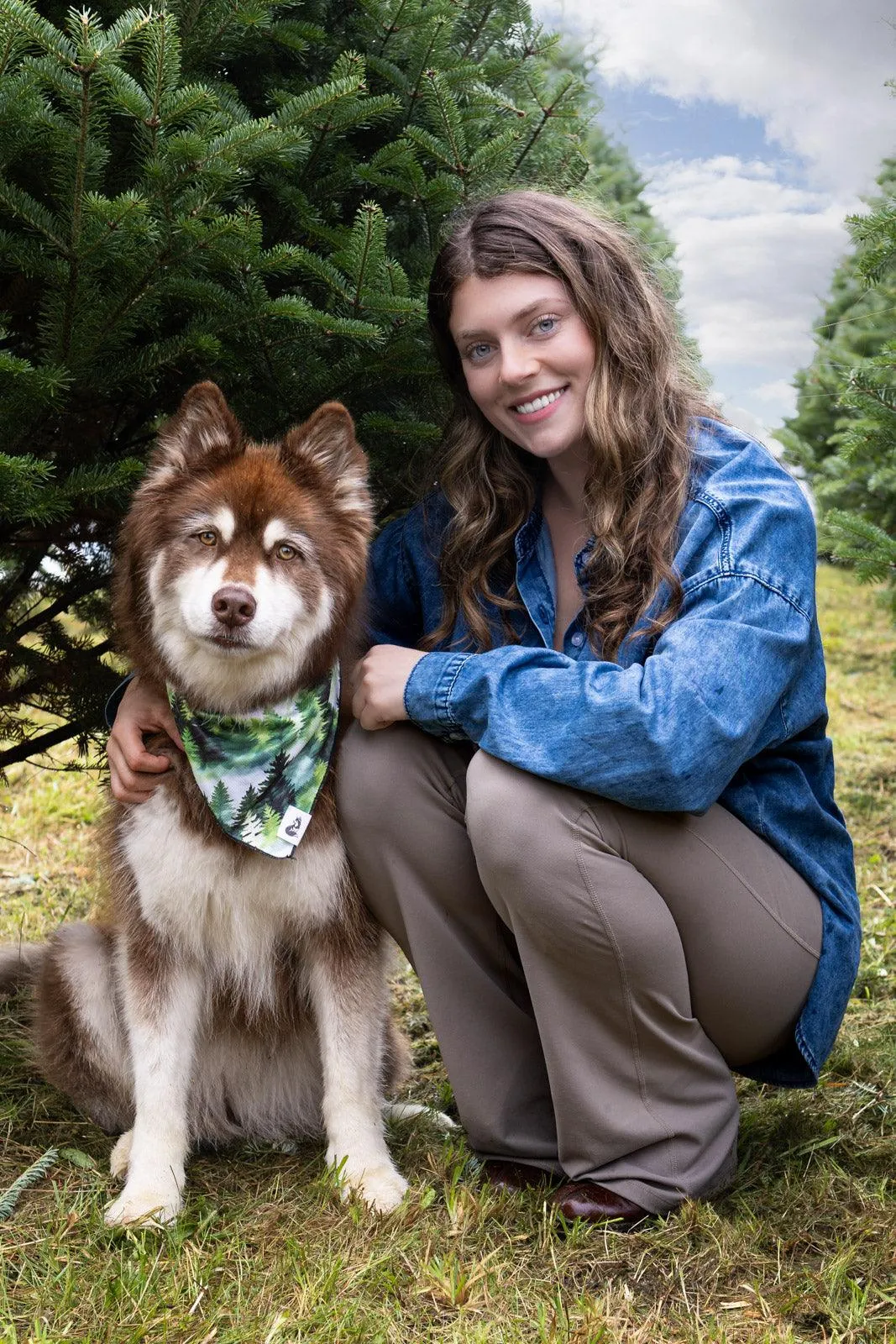 Evergreen Explorer Dog Bandana - Image 3