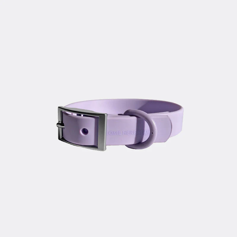 Everyday Collar - Image 10