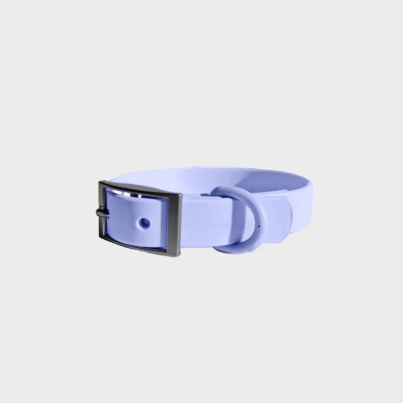 Everyday Collar - Image 3