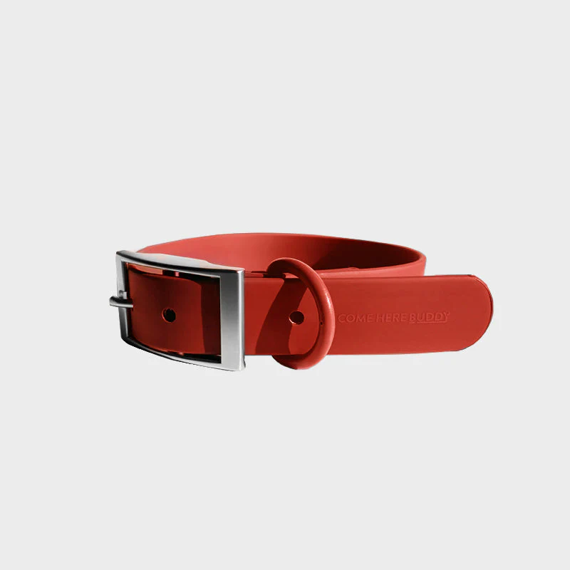 Everyday Collar - Image 7
