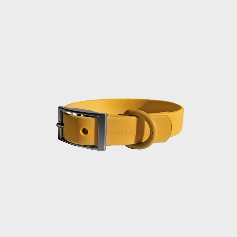 Everyday Collar - Image 8