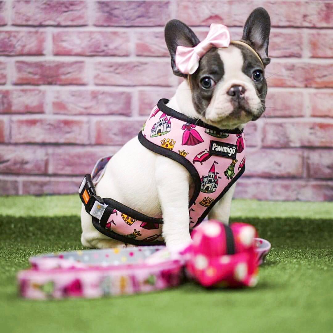 Fairytail Reversible Harness - Image 2