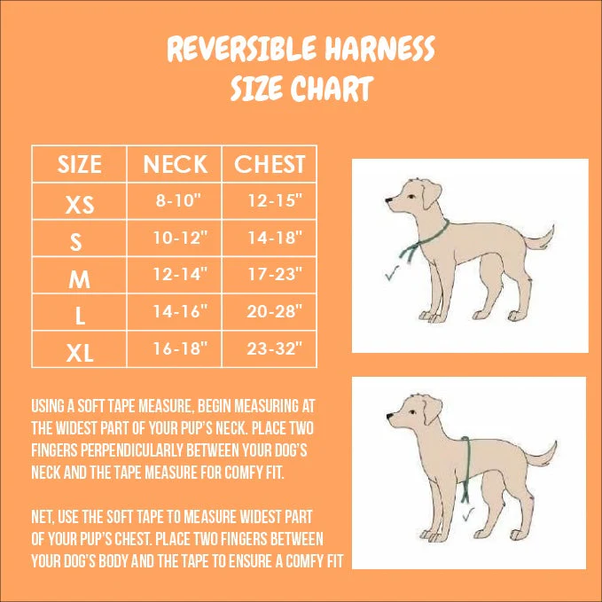 Fairytail Reversible Harness - Image 8