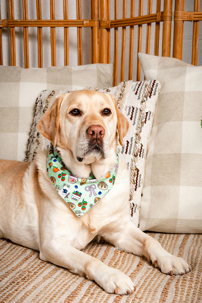 Farmers Market Dog Bandana - Image 4
