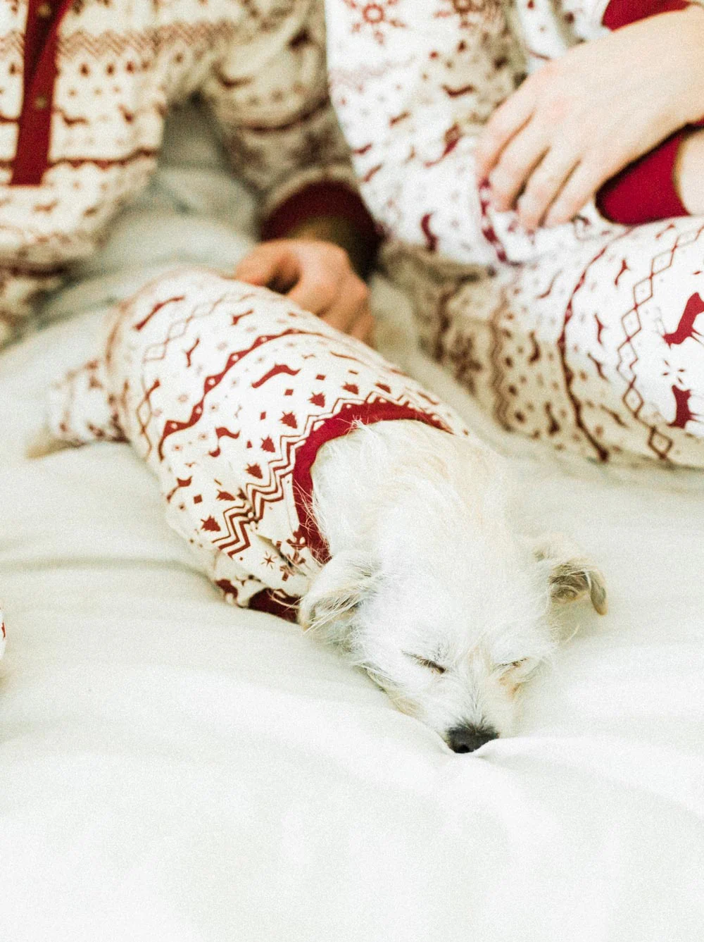 Festive Fam Holiday Pajama (Kid Sizes Only) - Image 4