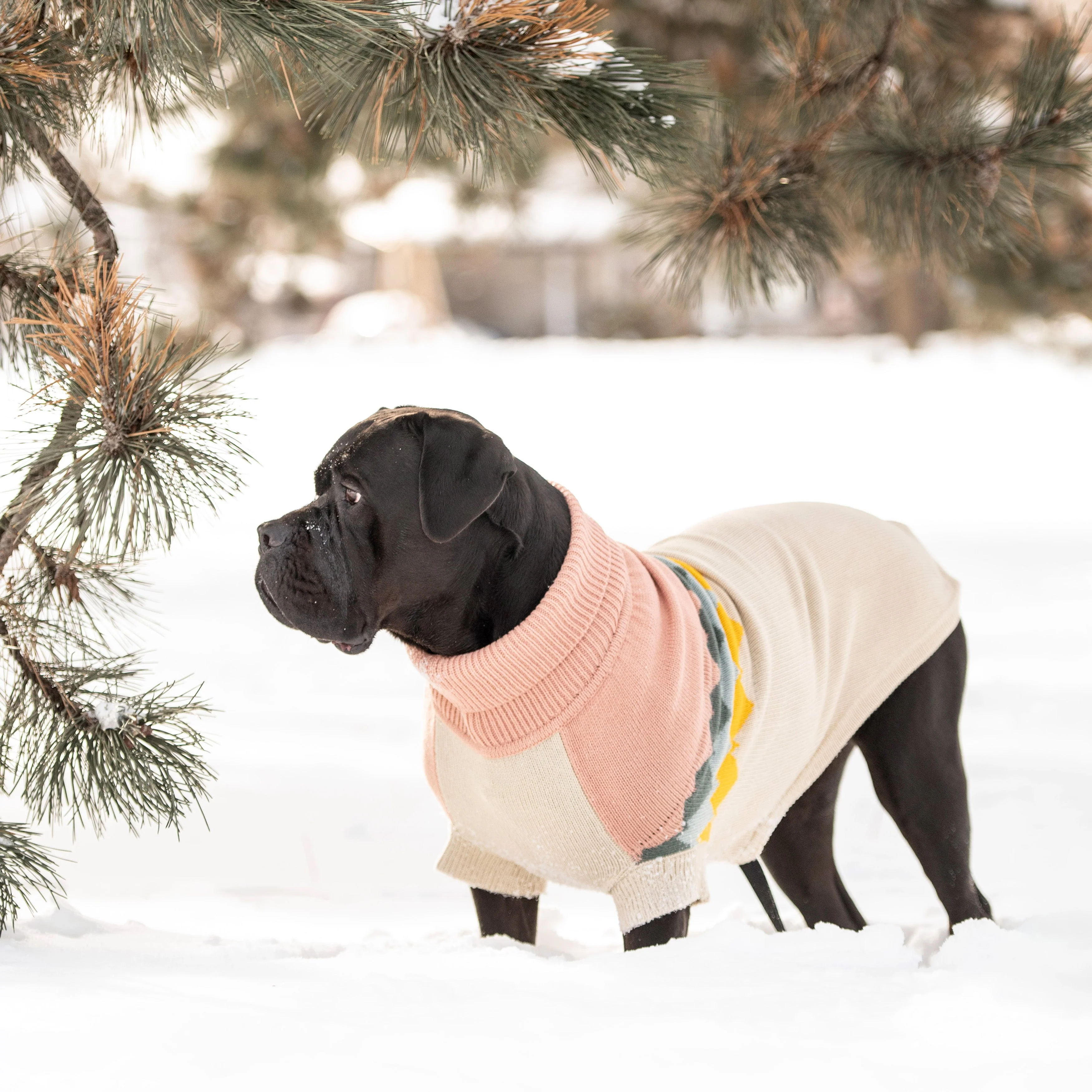 Fireside Sweater - Clay - Image 5