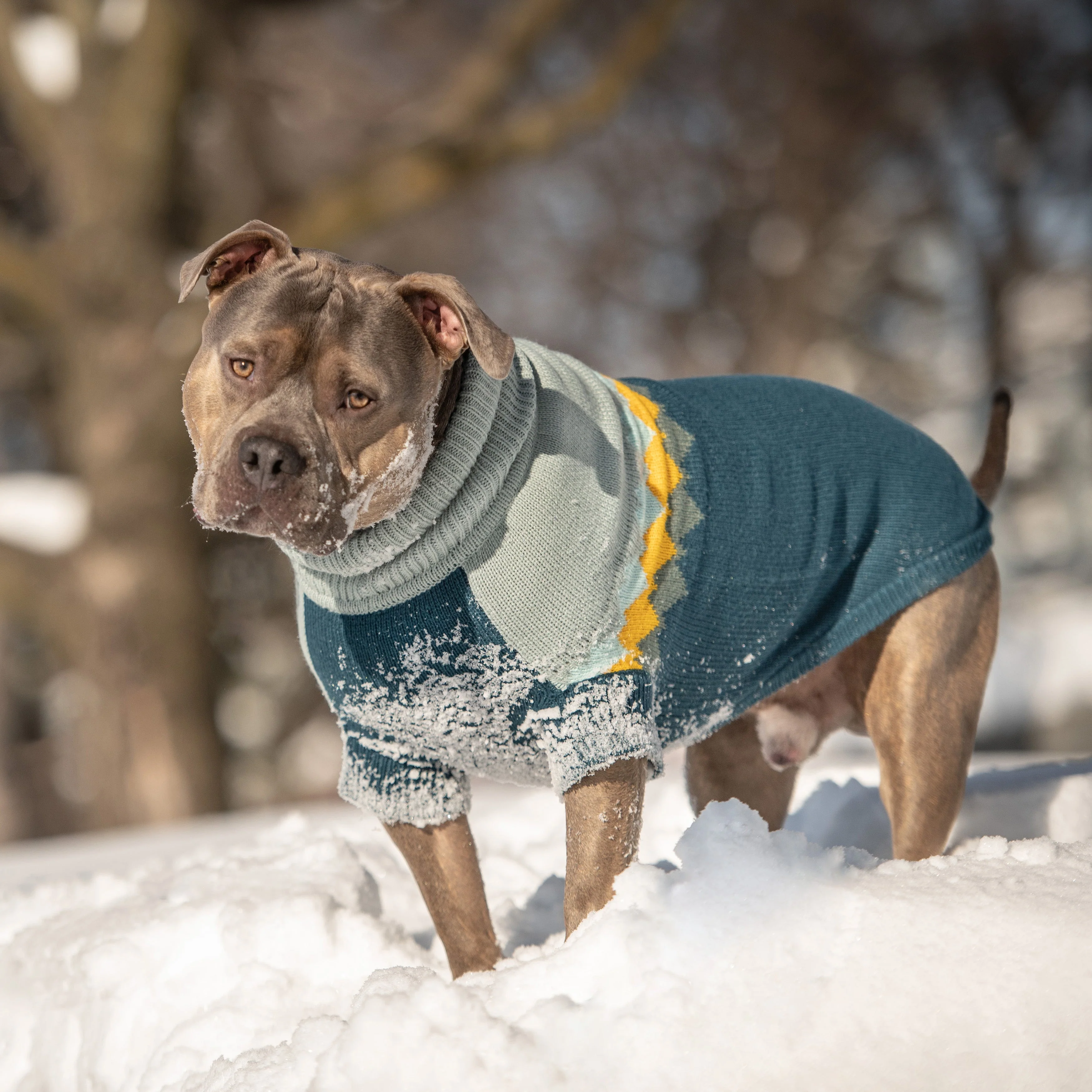 Fireside Sweater - Teal - Image 5