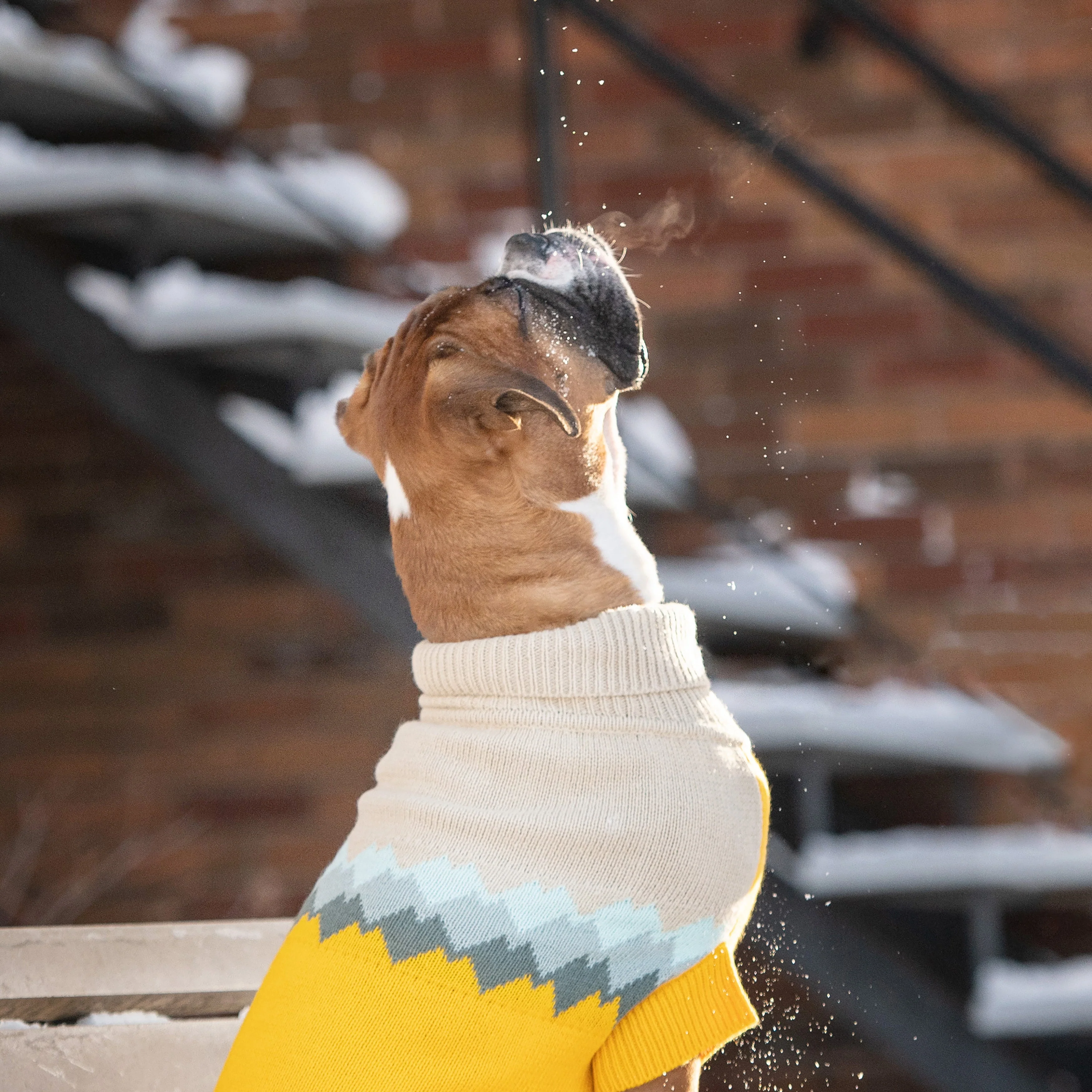 Fireside Sweater - Yellow - Image 5