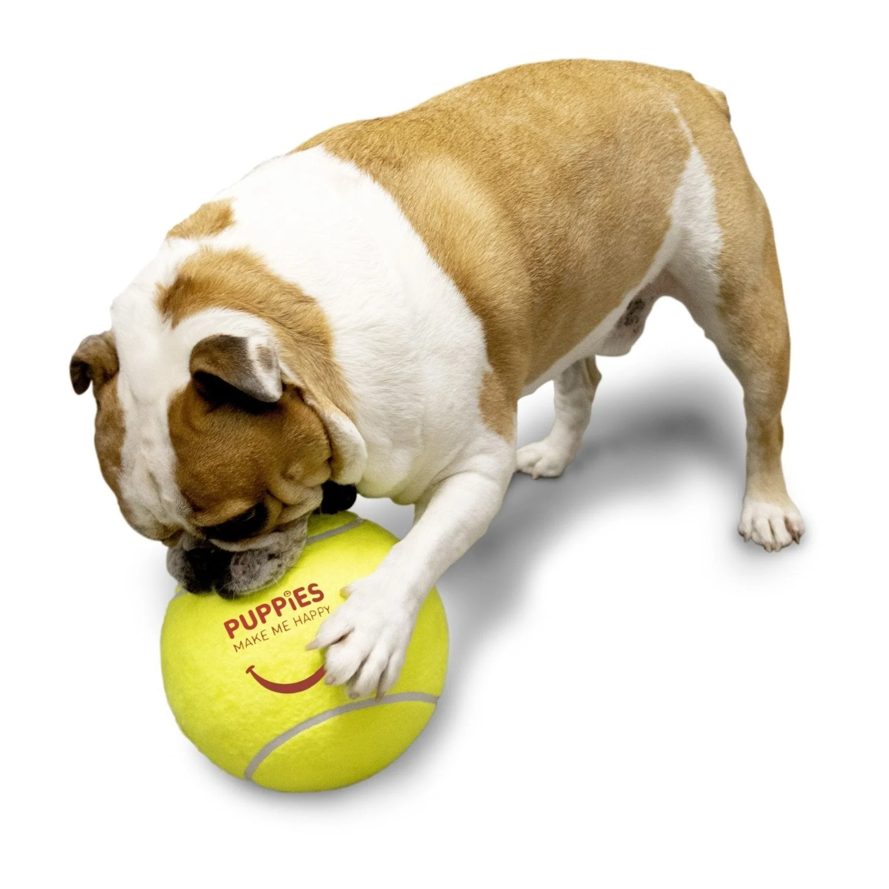 Fitness Big Tennis Ball - Image 3