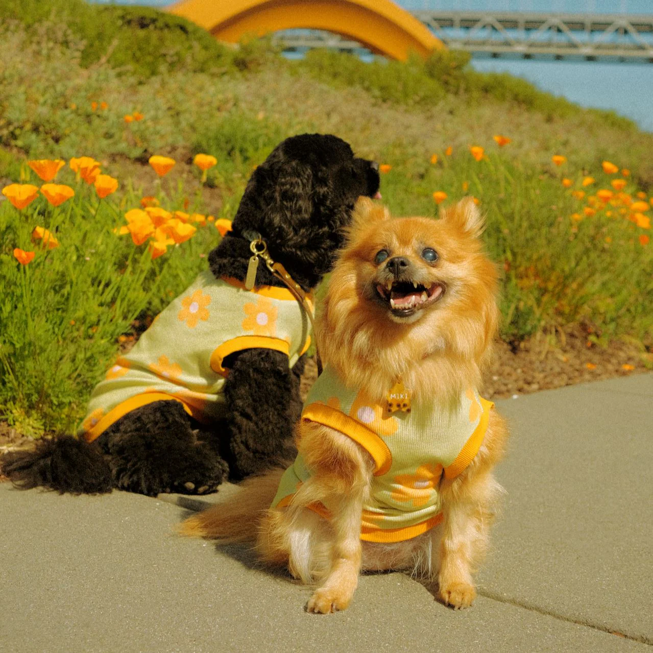 Flower Power Dog T-shirt - Image 5