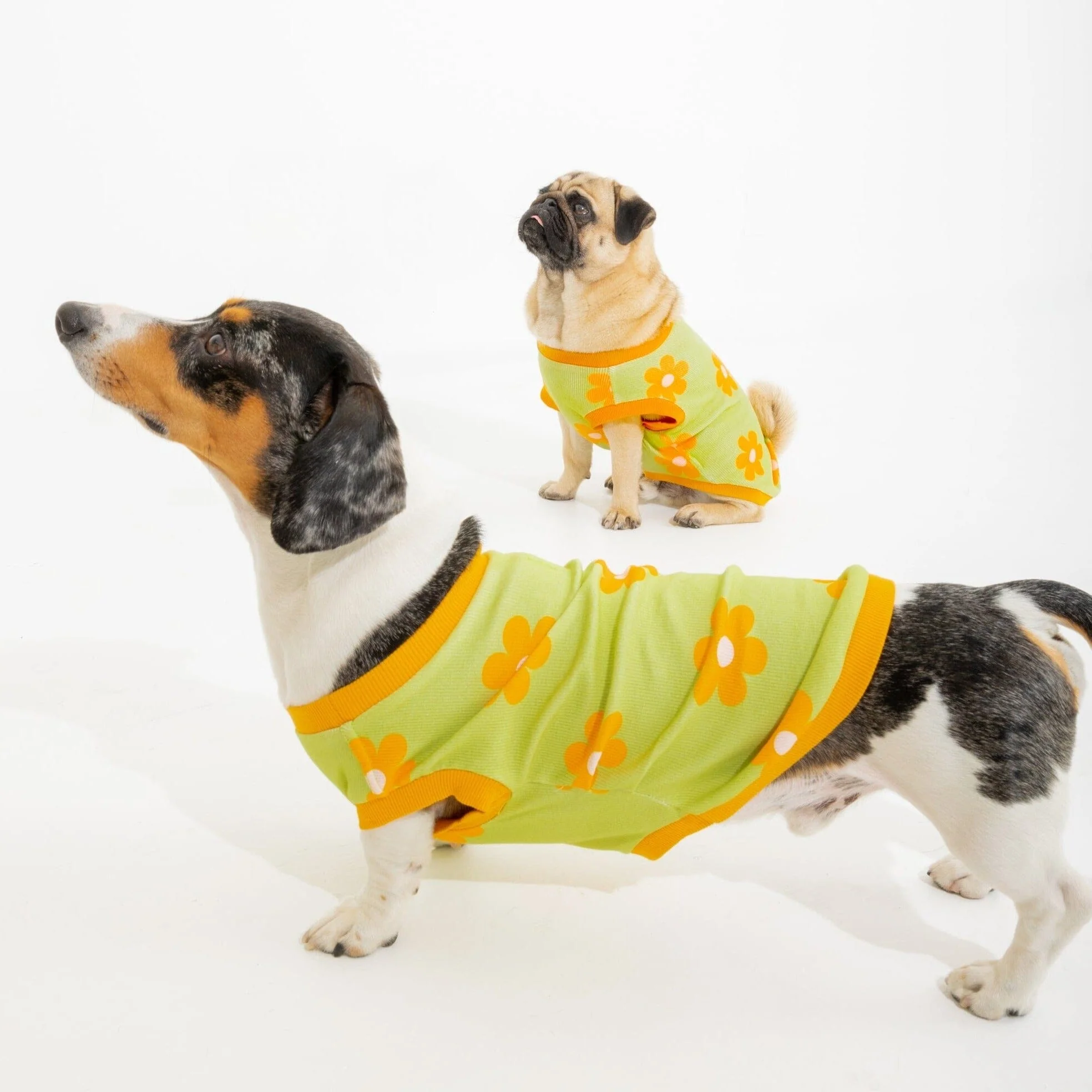 Flower Power Dog T-shirt - Image 6