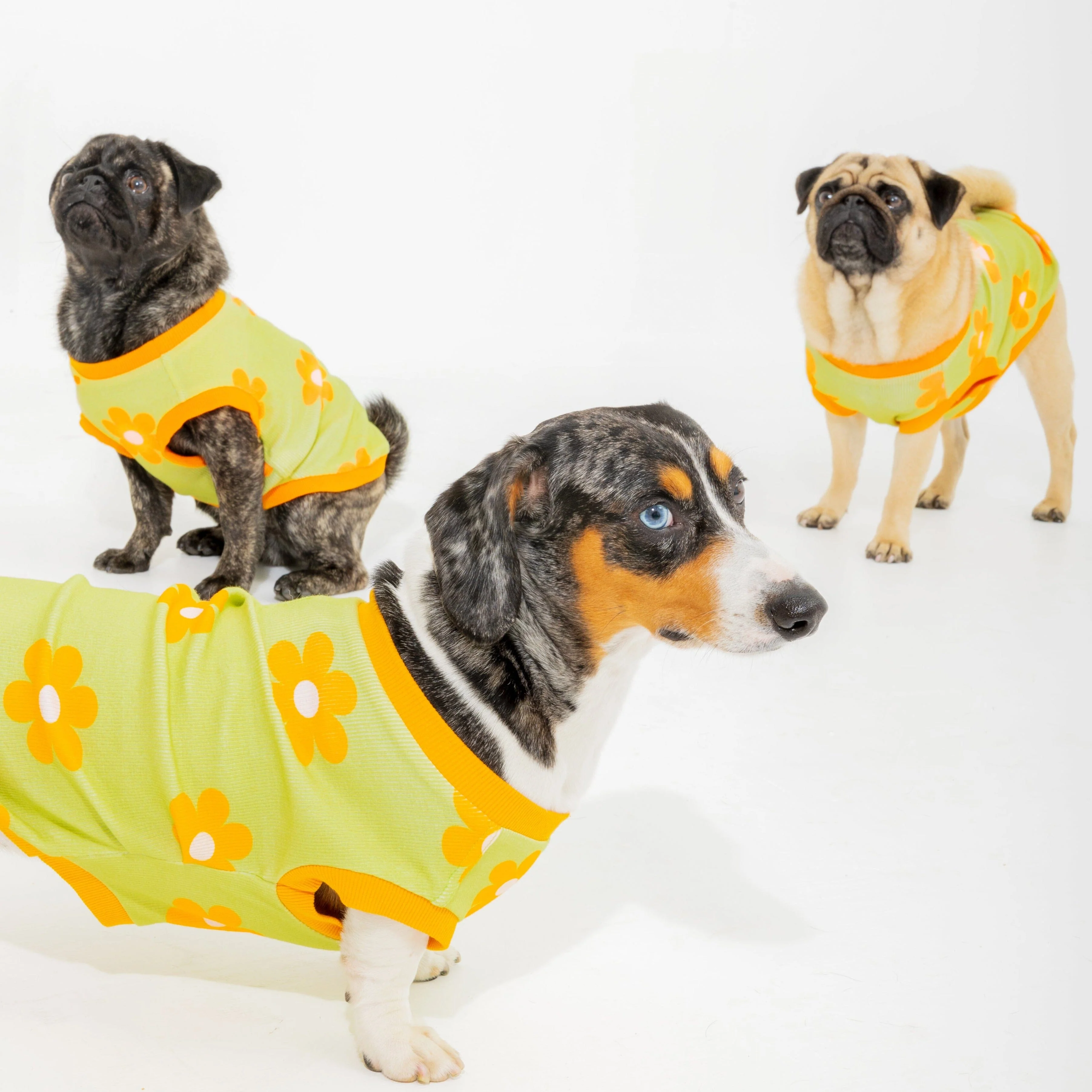Flower Power Dog T-shirt - Image 7