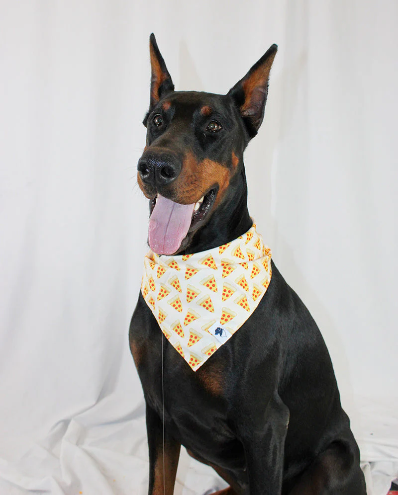 Pizza & Food Dog Bandana - Image 3
