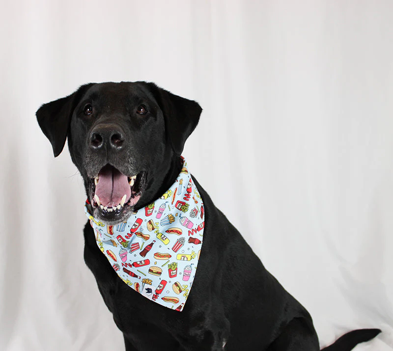 Pizza & Food Dog Bandana - Image 4