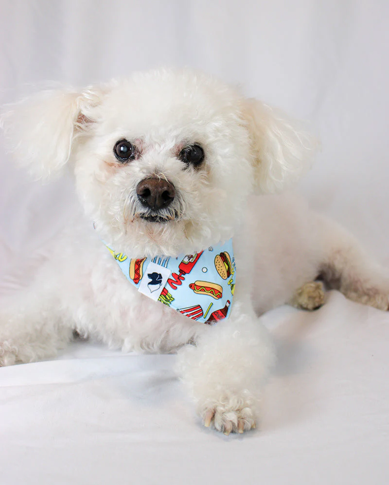 Pizza & Food Dog Bandana - Image 5