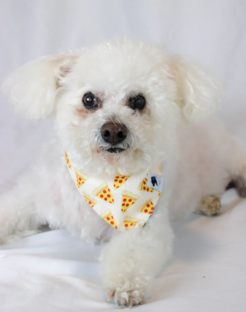 Pizza & Food Dog Bandana - Image 6
