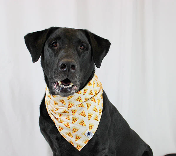 Pizza & Food Dog Bandana - Image 7