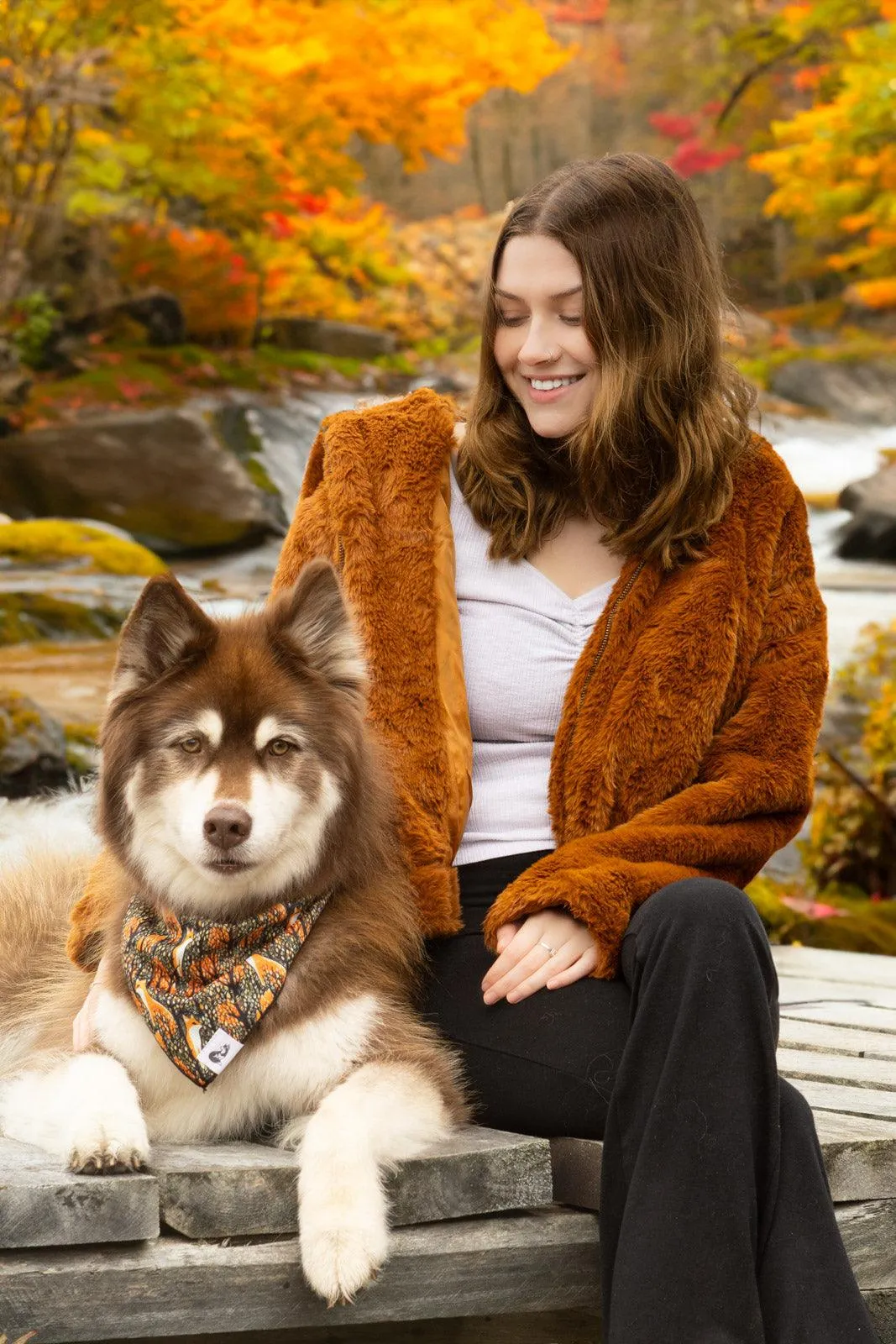 Foxes in Fall Dog Bandana & Matching Keychain - Image 5