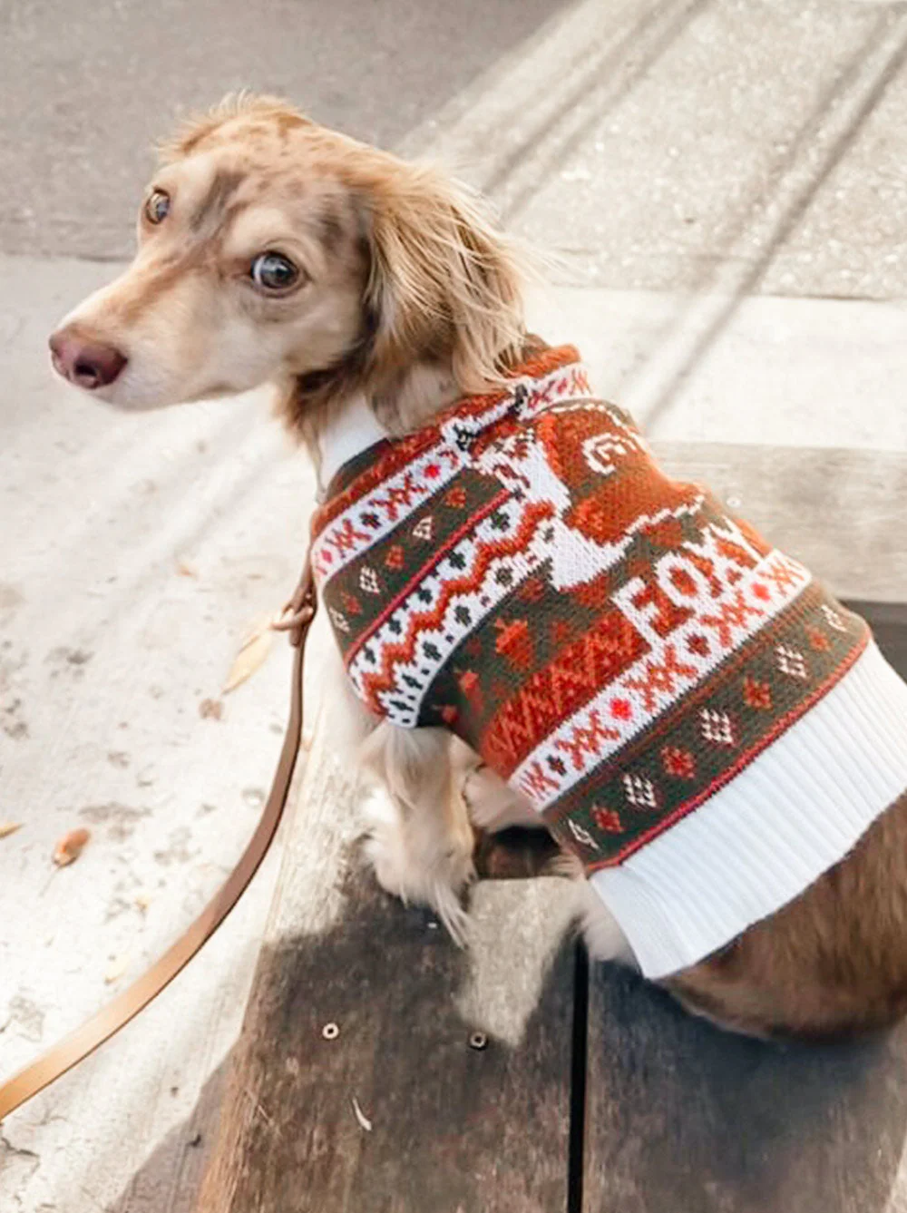 Foxy Sweater - Image 5
