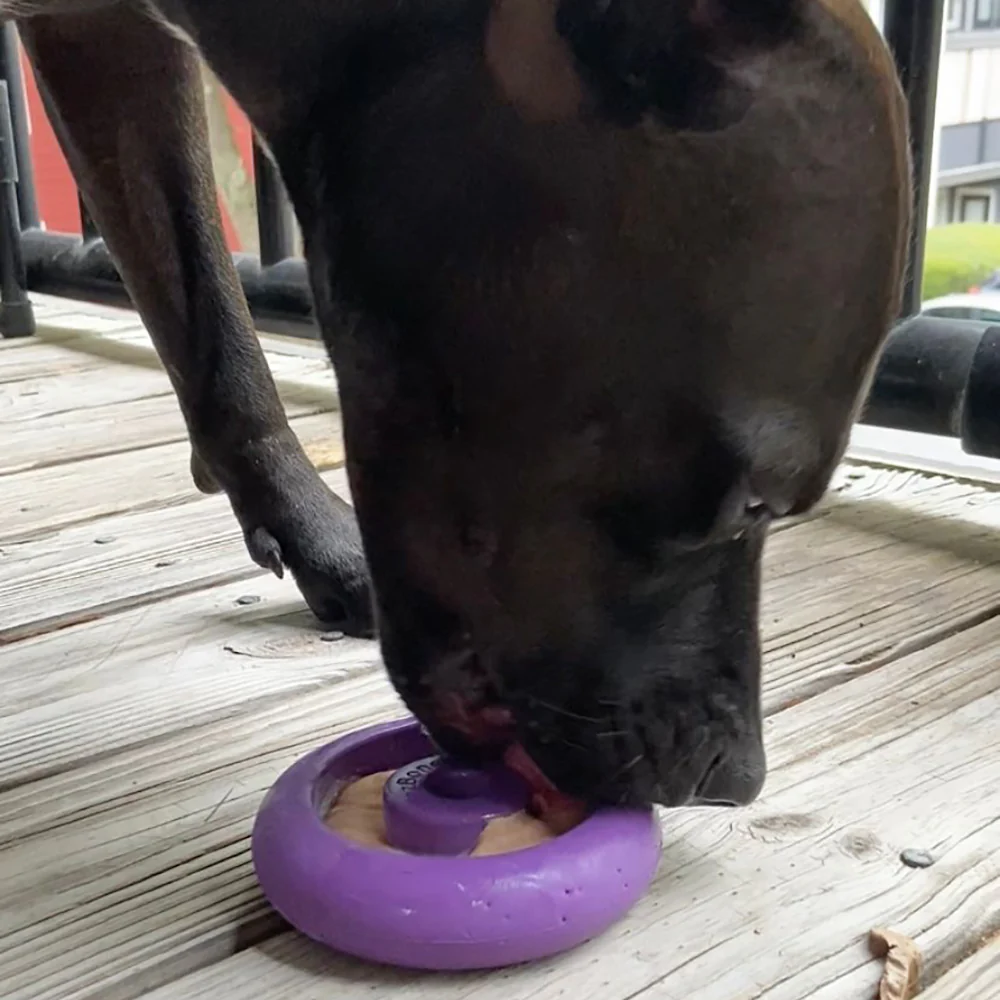 Freez Doughnut - Super Durable Treat Toy - Image 10
