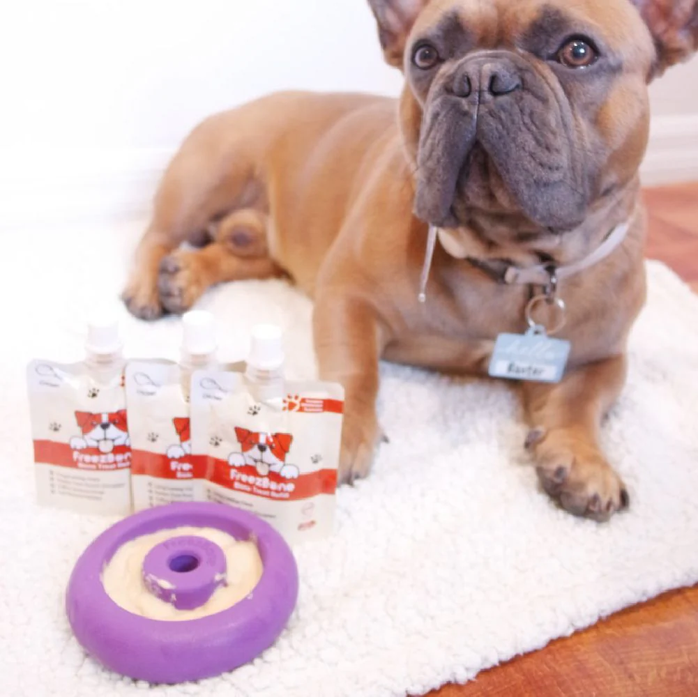 Freez Doughnut - Super Durable Treat Toy - Image 11
